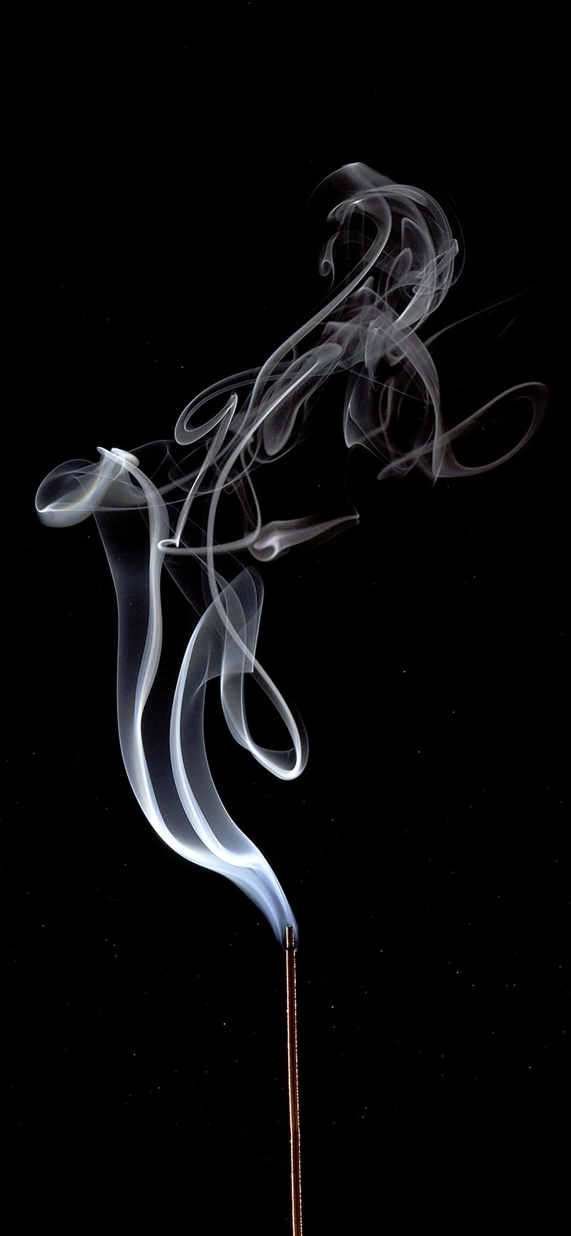 1170x2532 Dhamana ya Kijivu ya Kiuma Picha ya Ukuta
