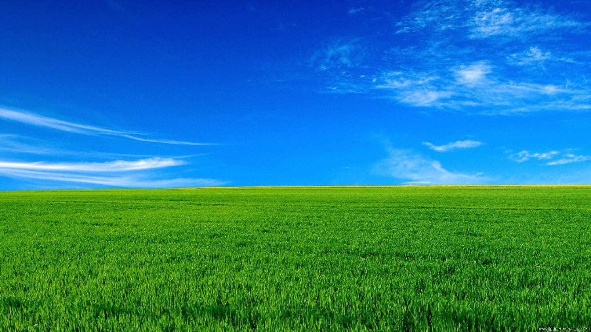 1920x1080 Full HD Asili Nyasi Kijani Anga la Bluu Picha ya Ukuta