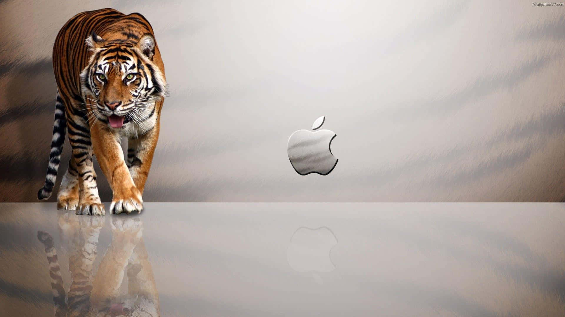 1920x1080 Mandharinyuma ya Apple Mistari ya Tiger Picha ya Ukuta