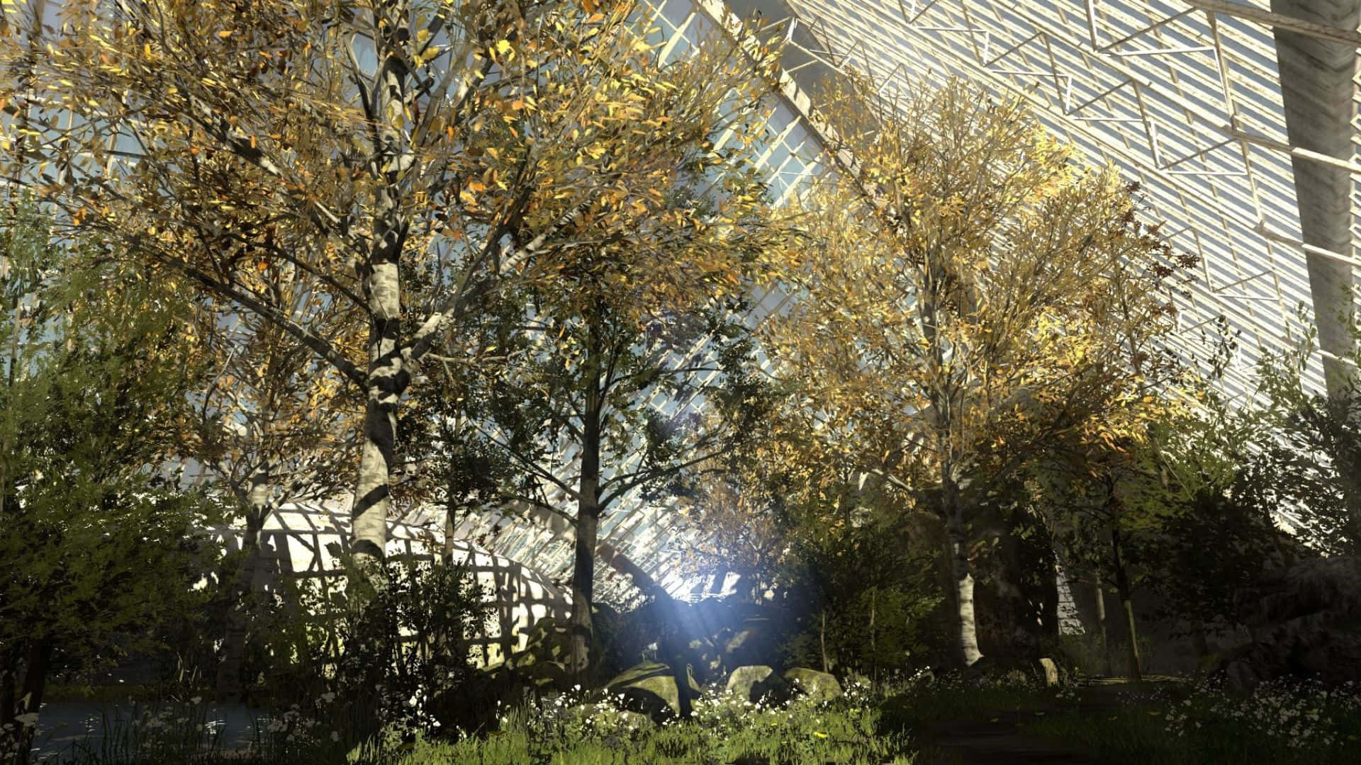 1920x1080 The Talos Principle Mandhari ya Msitu Wenyeji Picha ya Ukuta