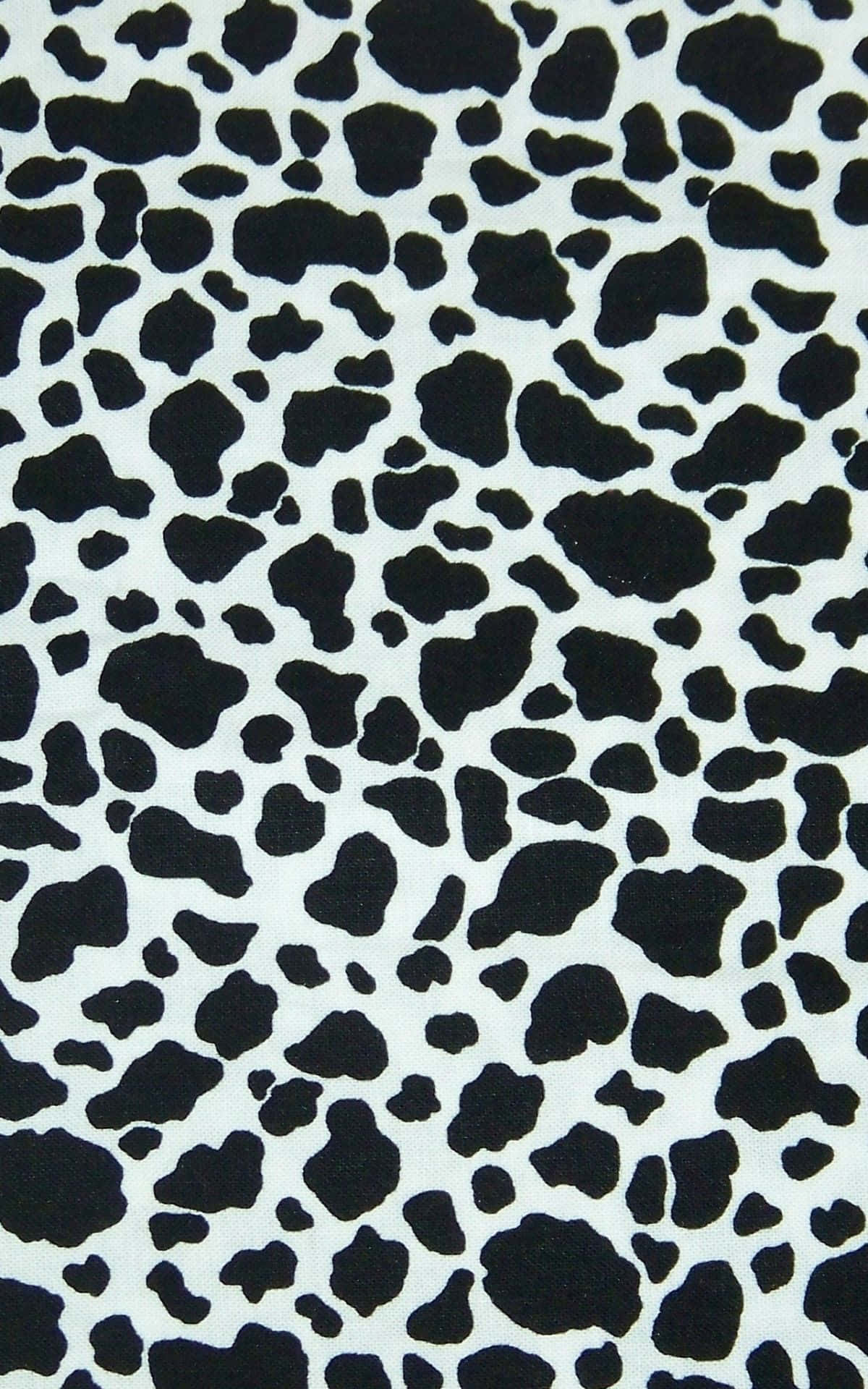 a black and white cow print fabric Picha ya Ukuta