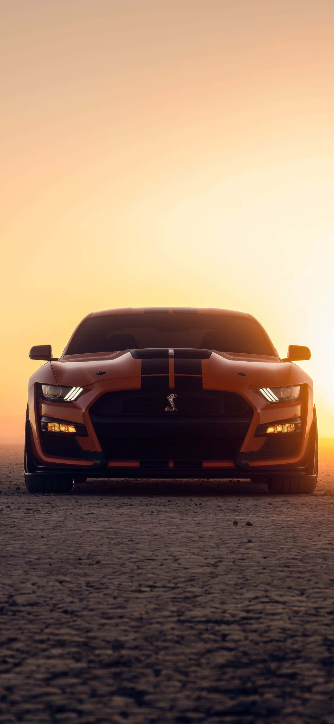 a ford mustang gt is sitting in the desert at sunset Picha ya Ukuta