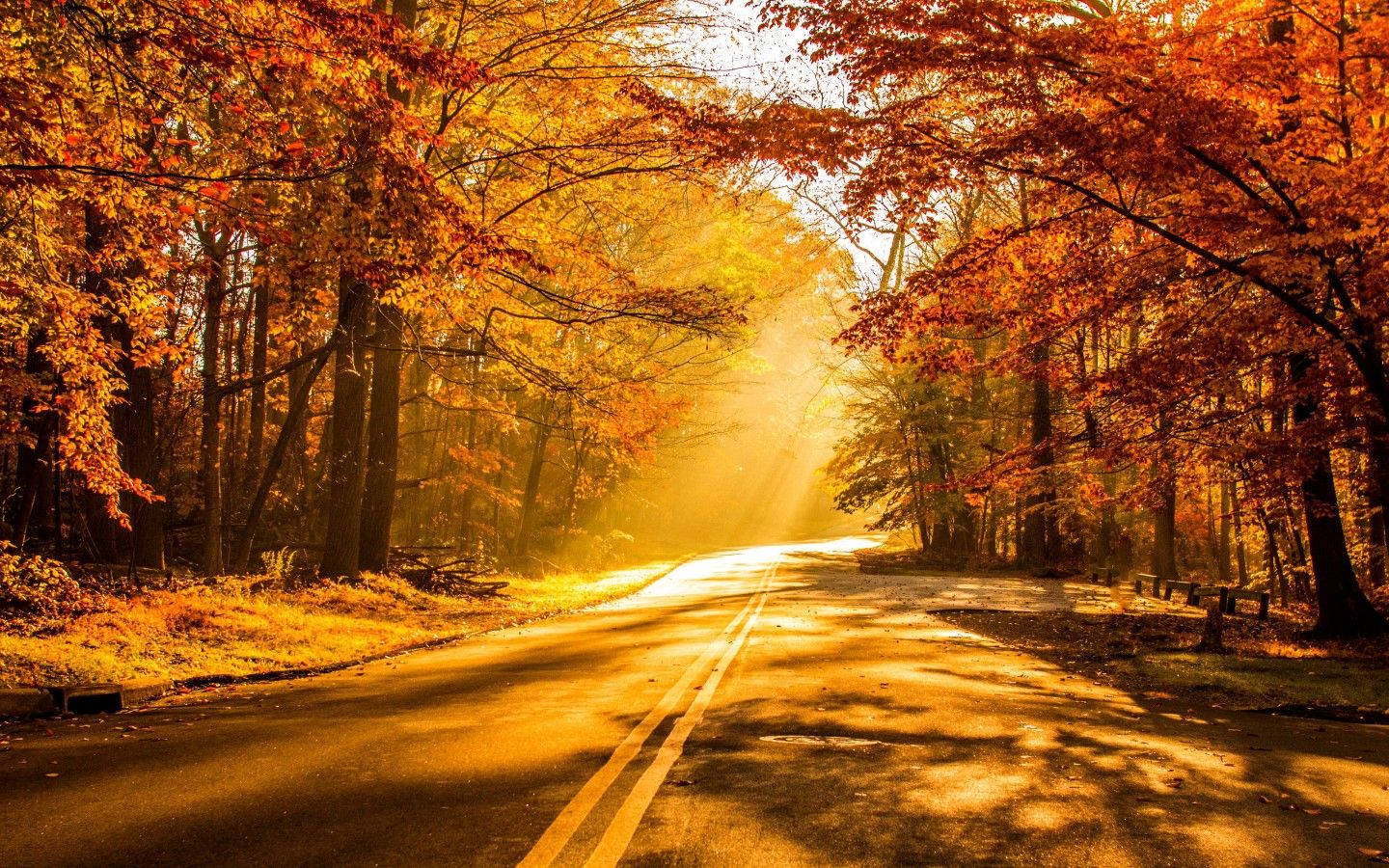 A peaceful sunset along a tree lined country road in the Autumn. Picha ya Ukuta