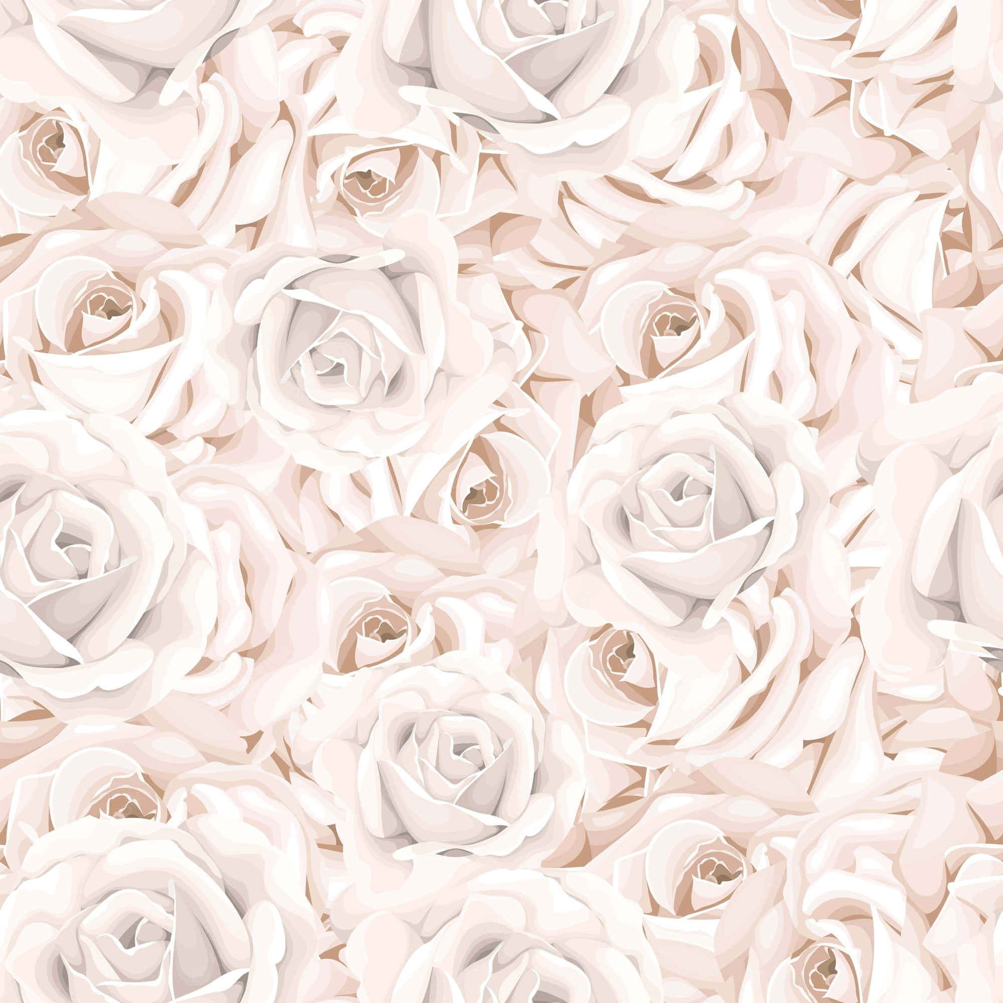A peaceful white rose in full bloom Picha ya Ukuta