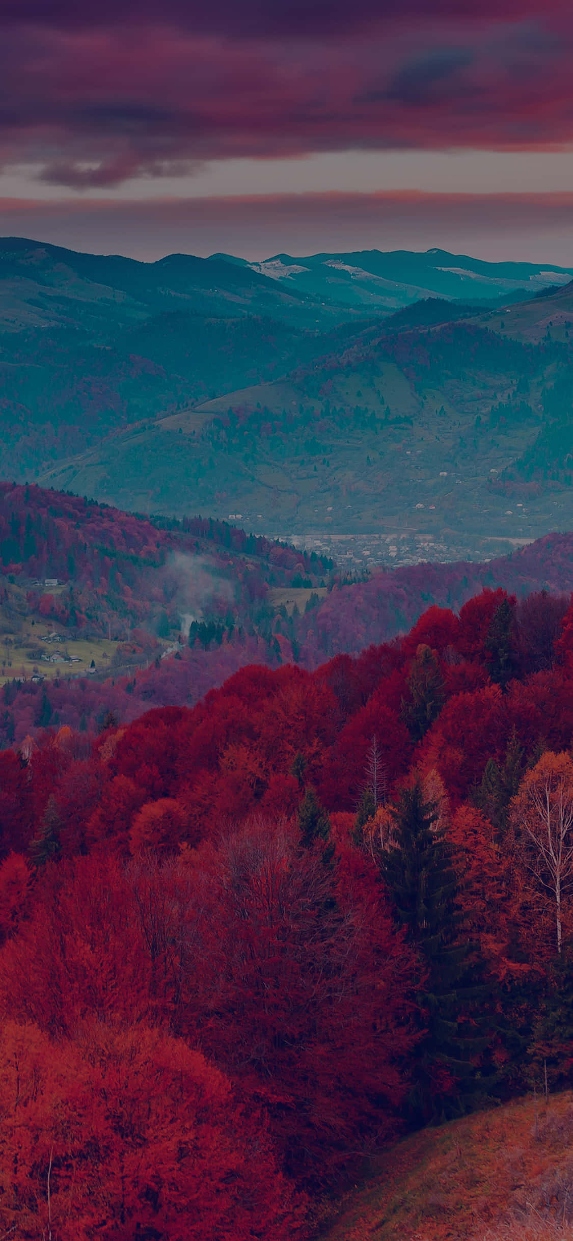 A Red Tree Against Clear Sky Picha ya Ukuta