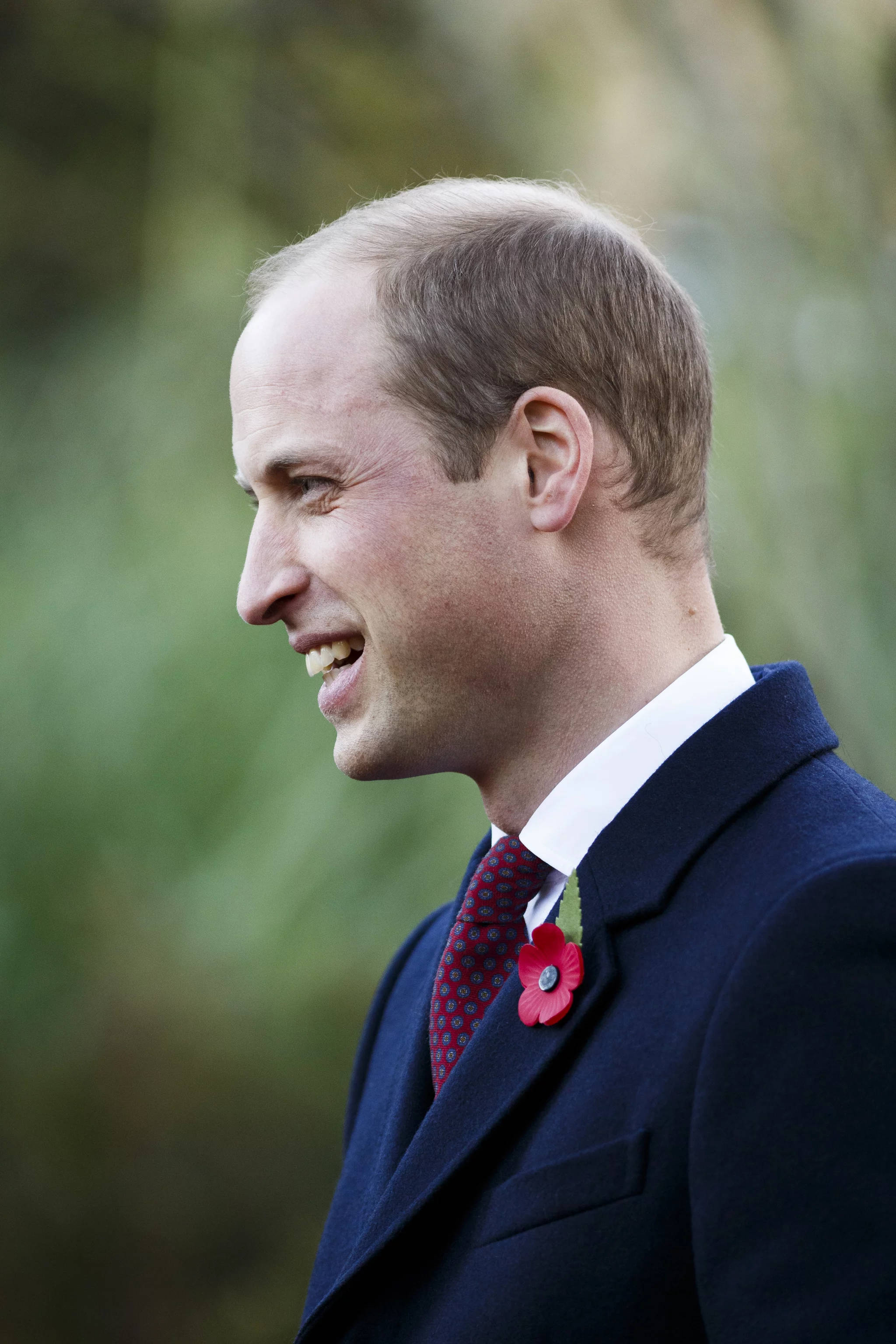 A Regal Side Profile of Prince William Picha ya Ukuta