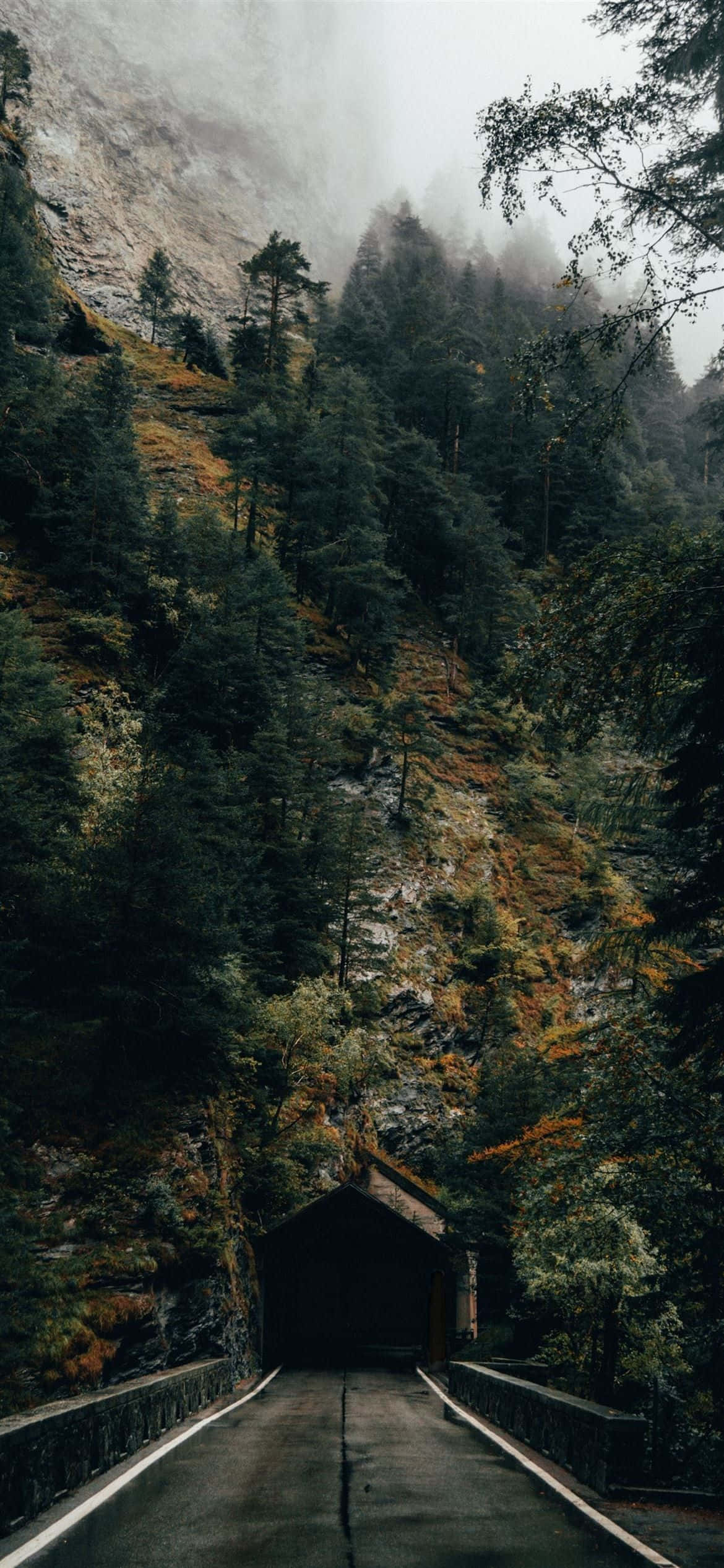 a road in the mountains with trees and fog Picha ya Ukuta