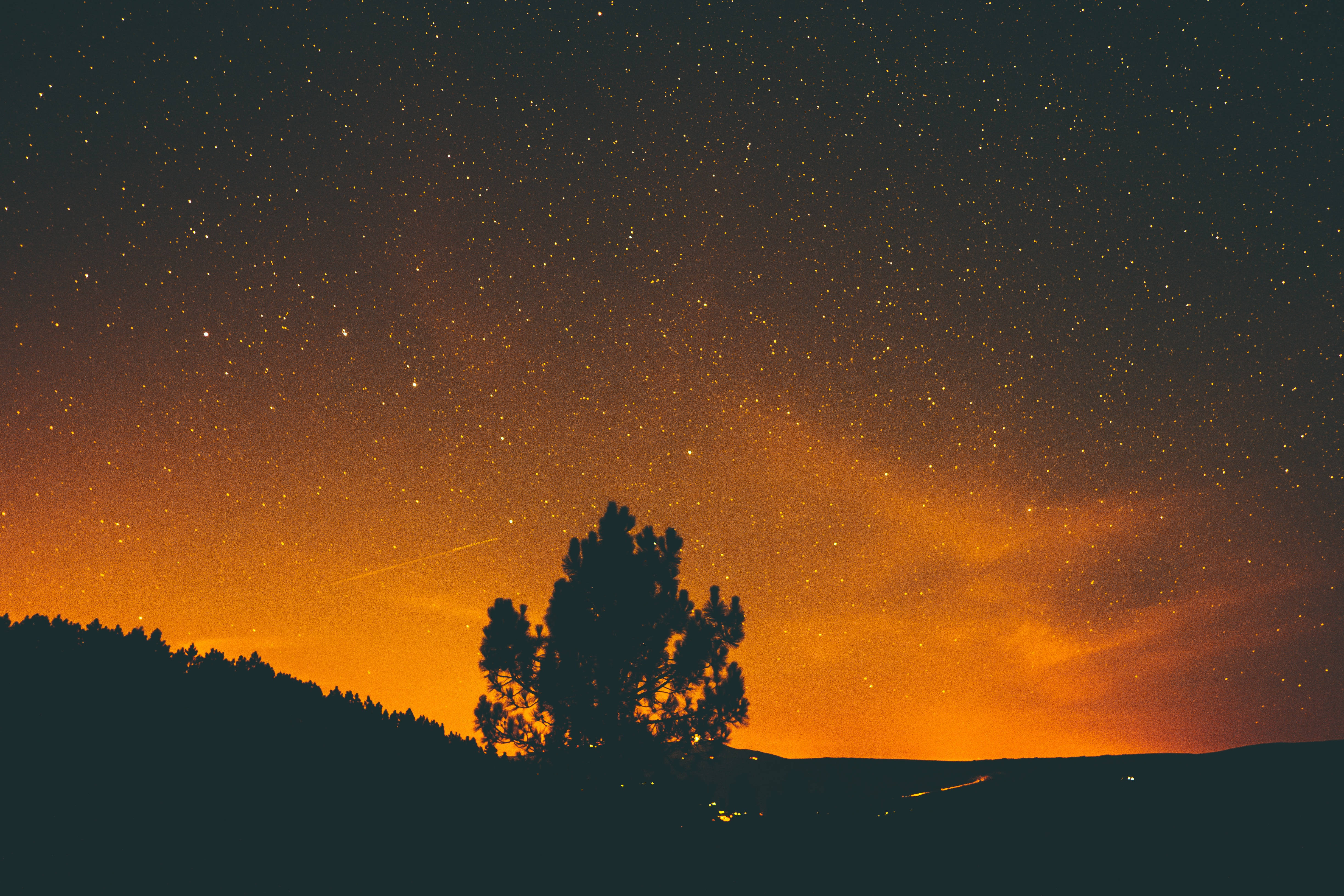 A silhouetted tree at a tranquil night sky Picha ya Ukuta