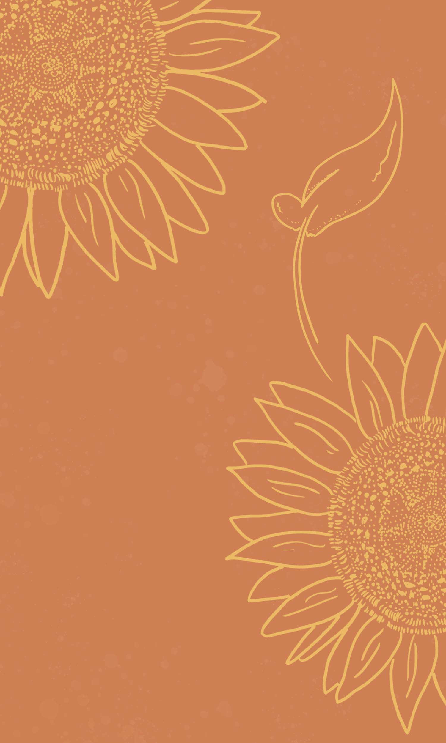 A vibrant aesthetic sunflower bursting with beauty Picha ya Ukuta