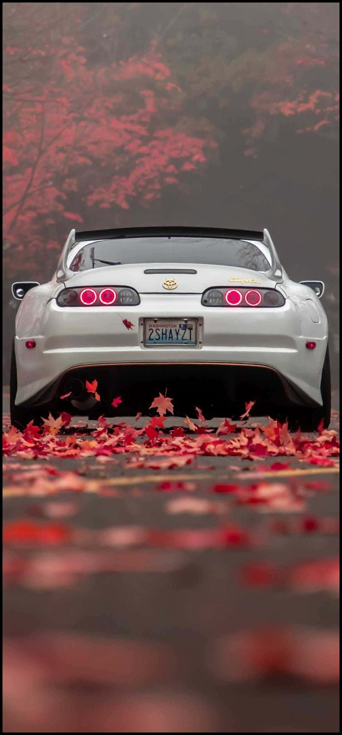 a white sports car is parked in the middle of a field of leaves Picha ya Ukuta