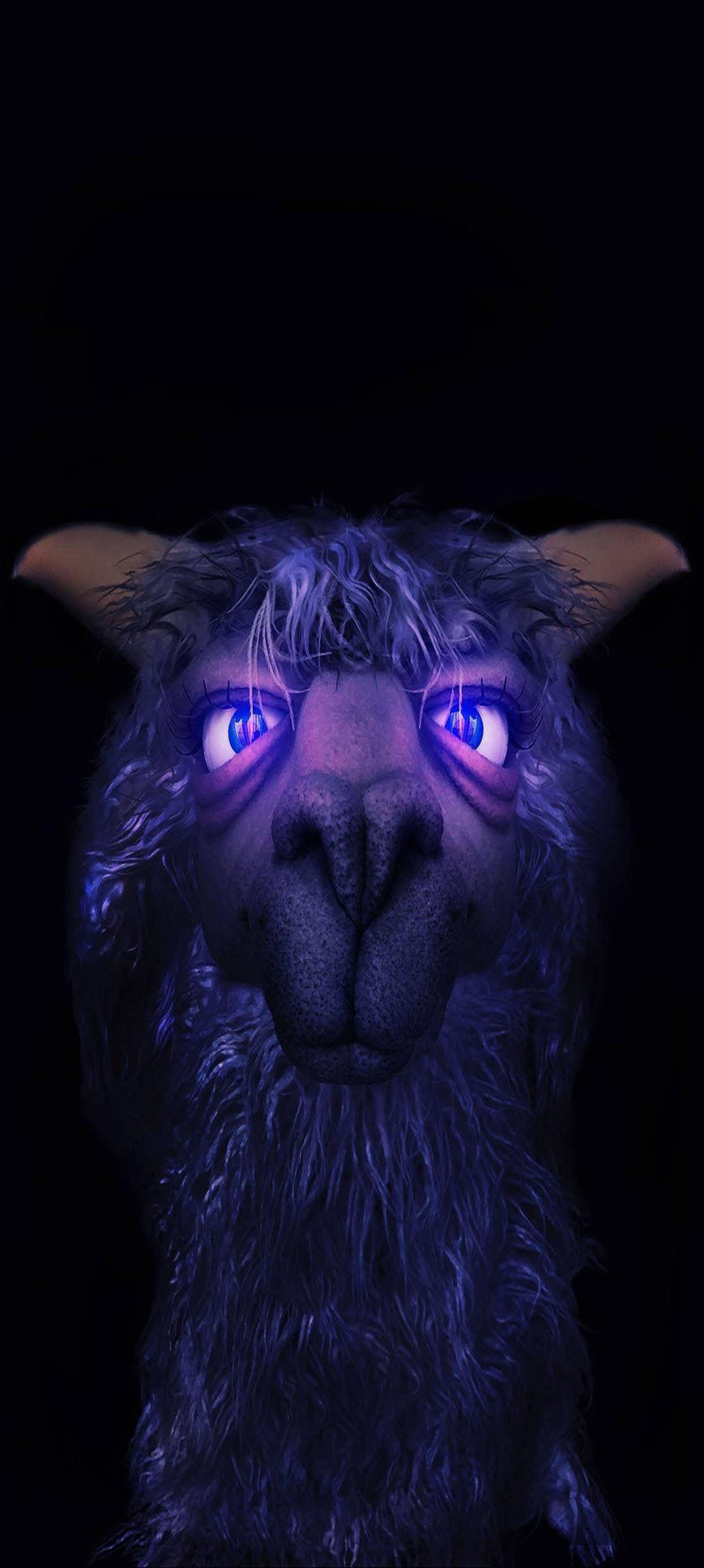 Aesthetic Boy Violet Llama Picha ya Ukuta