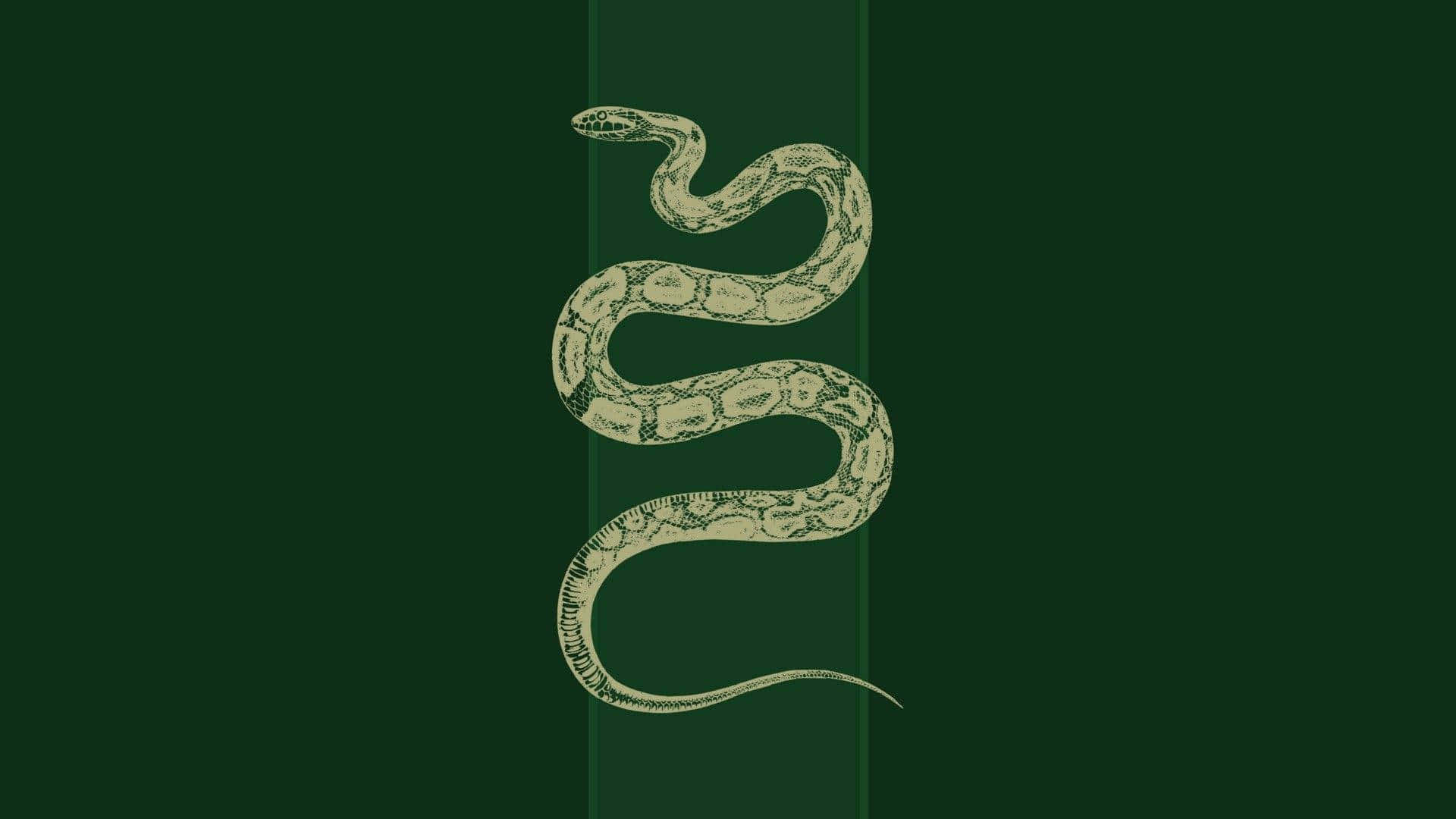 Aesthetic ya Slytherin Bedroom Picha ya Ukuta