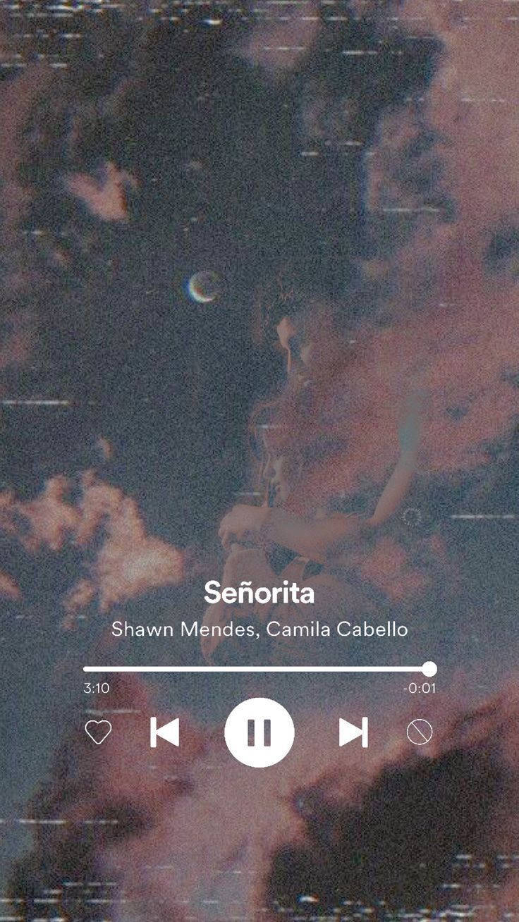 Aesthetics ya Muziki Señorita Picha ya Ukuta