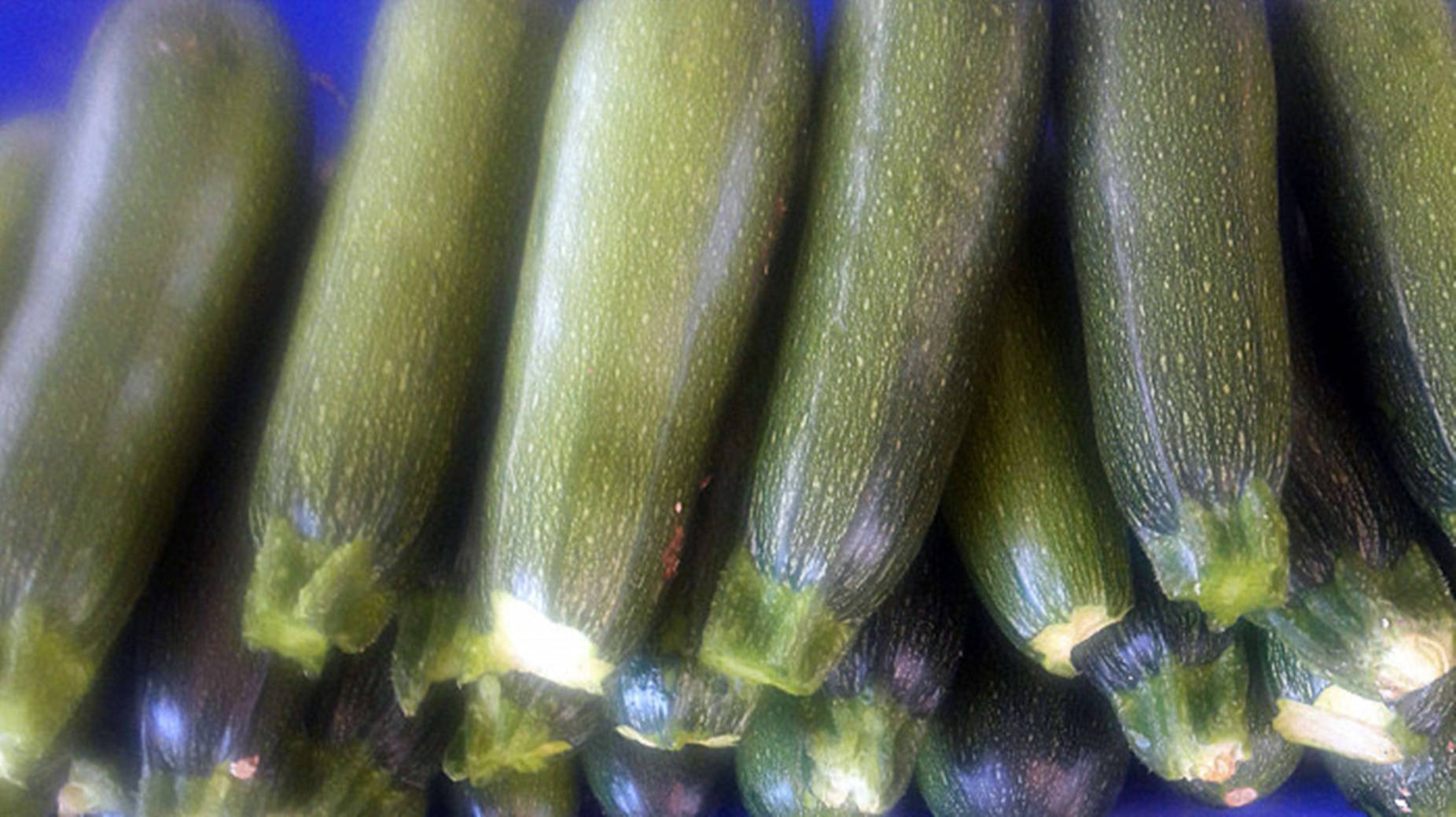 Aina ya Zucchini Baby Marrow Picha ya Ukuta