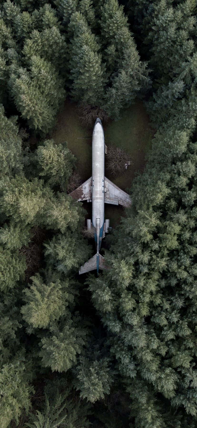 Airplane nyeupe katika mwendo dhidi ya mwonekano wa samawati wa anga kwenye iPhone. Picha ya Ukuta