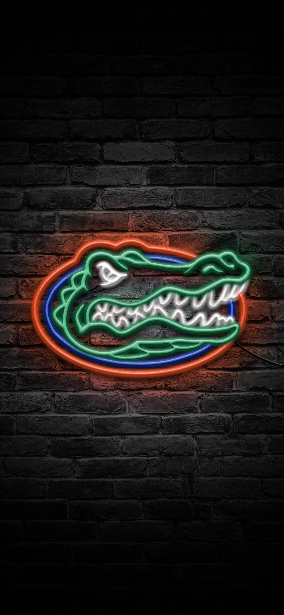 Alama ya Florida Gators kwa Nuru za Neon Picha ya Ukuta