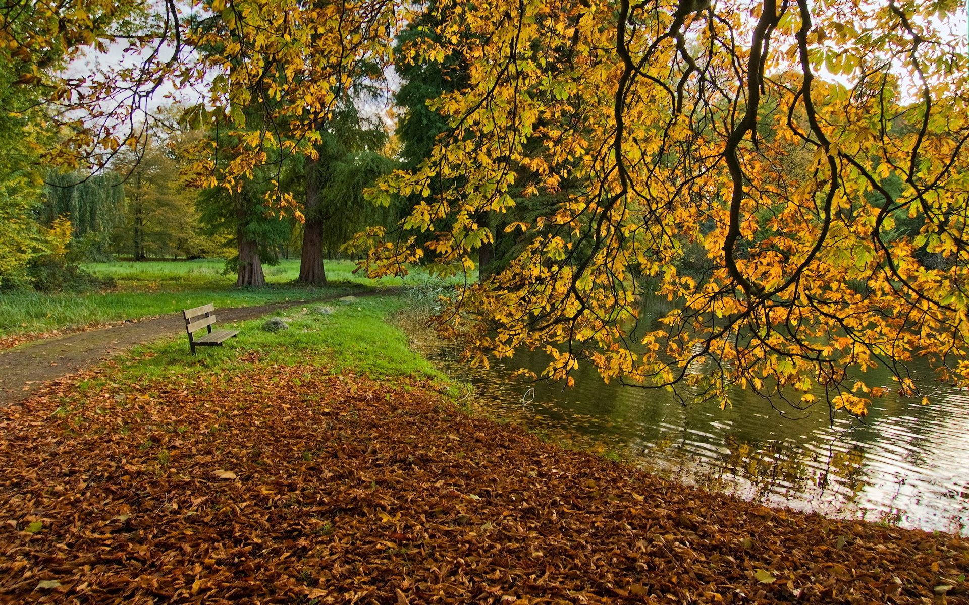 An enchanting autumnal pond surrounded by hued trees Picha ya Ukuta