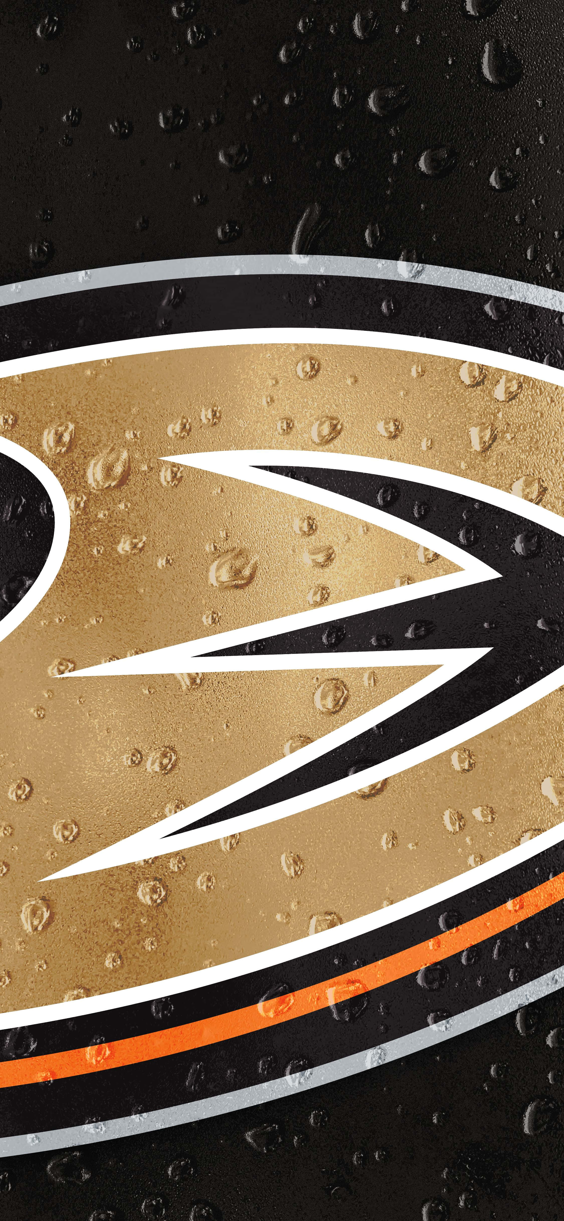 Anaheim Ducks wanaingia kwenye barafu kwa mwendo Picha ya Ukuta