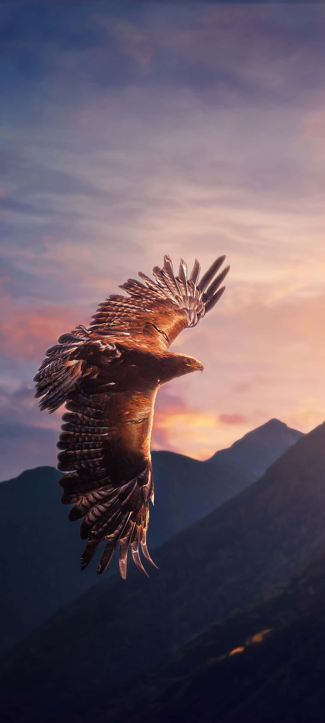 Flying Bird Birds Of Prey Hawk Picha ya Ukuta
