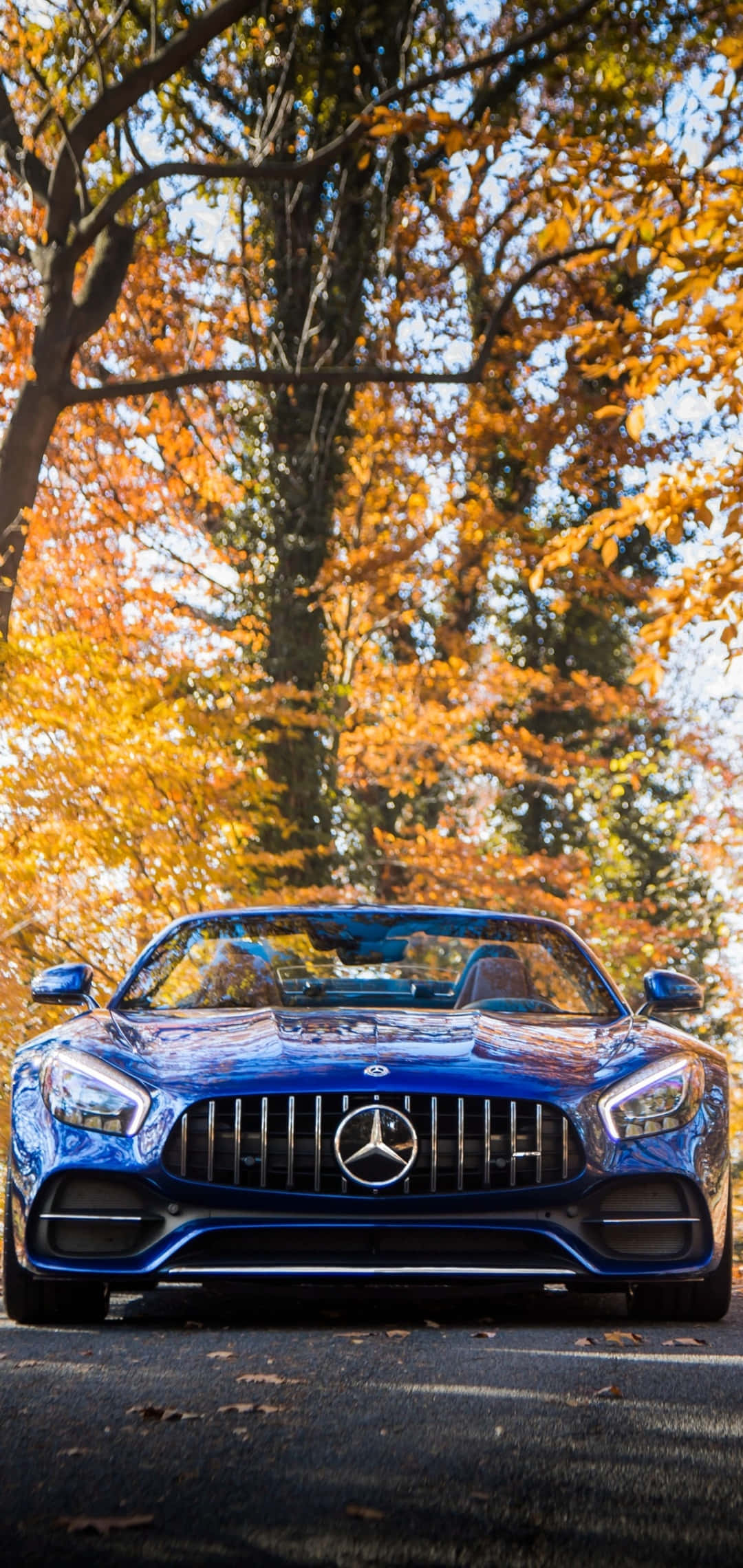 Android Amg Gt-r Yellow Tree Leaves Background Picha ya Ukuta