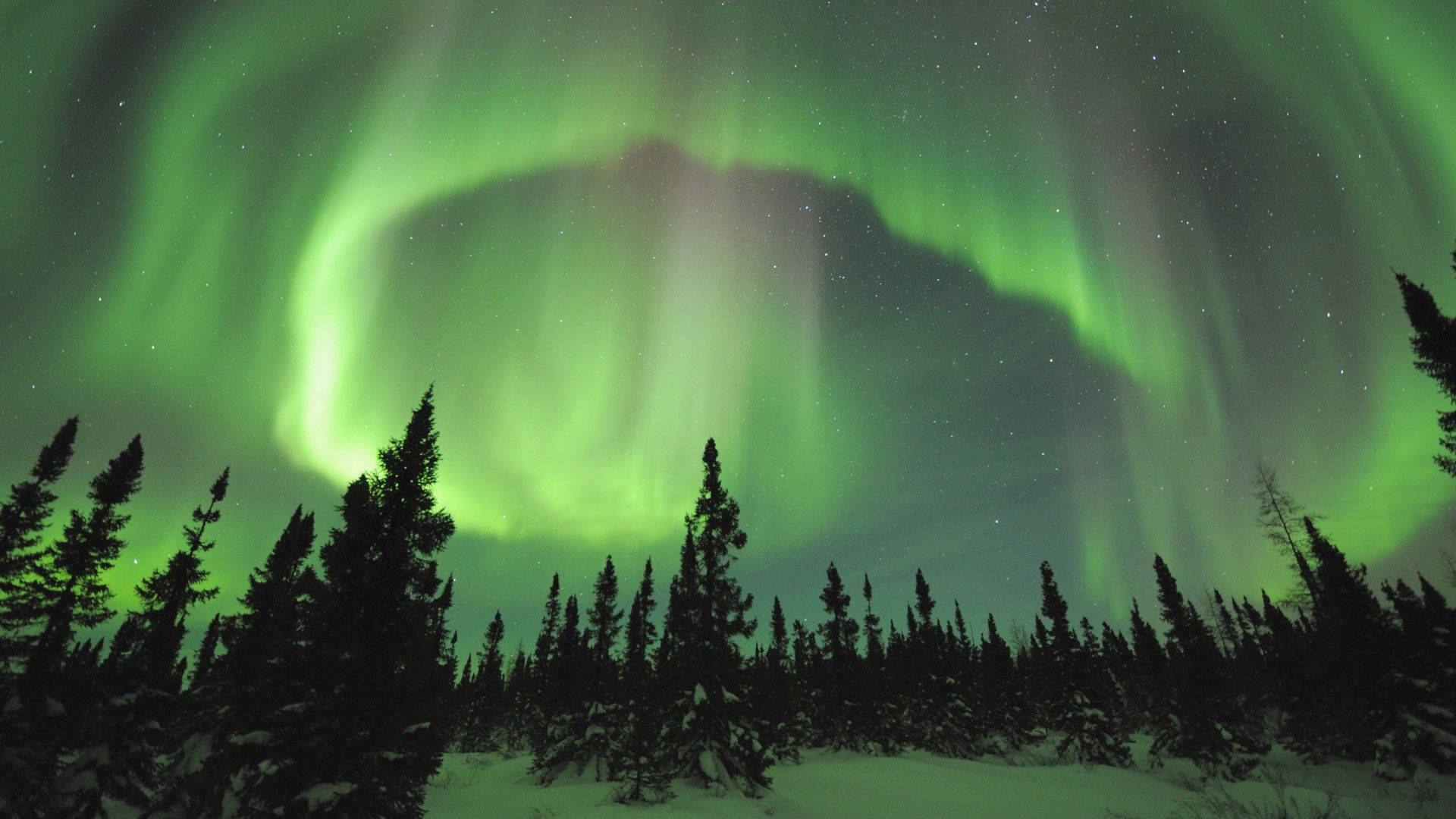 Anga la Kijani la Aurora Borealis Picha ya Ukuta