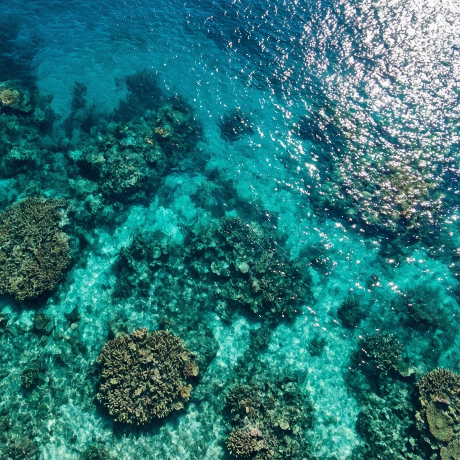 Anga la Miamba ya Turquoise Picha ya Ukuta