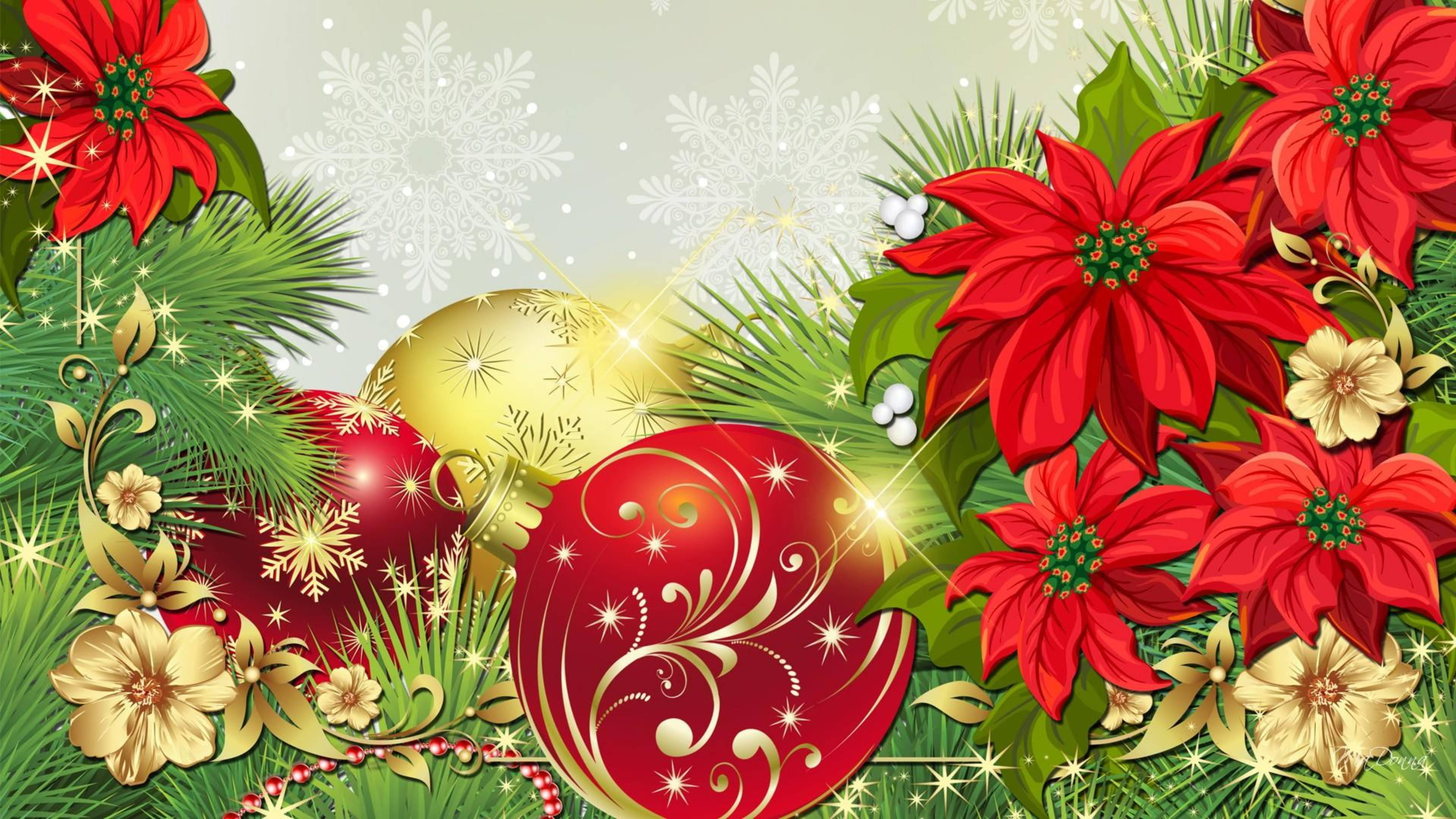 Animated Christmas Poinsettia Picha ya Ukuta