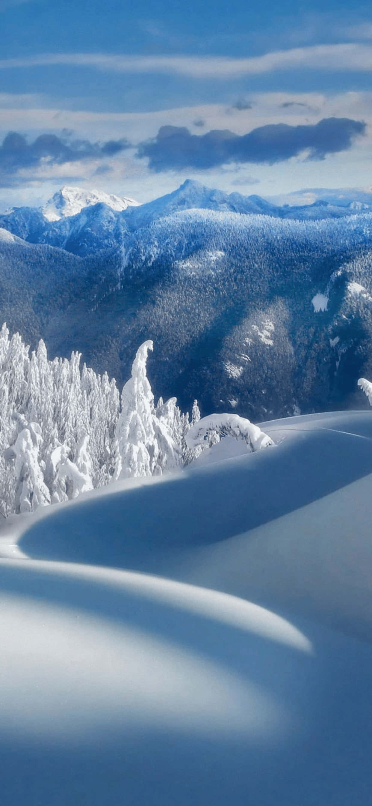 Appealing Winter Wonderland Background Fit for iPhone XS Max Picha ya Ukuta
