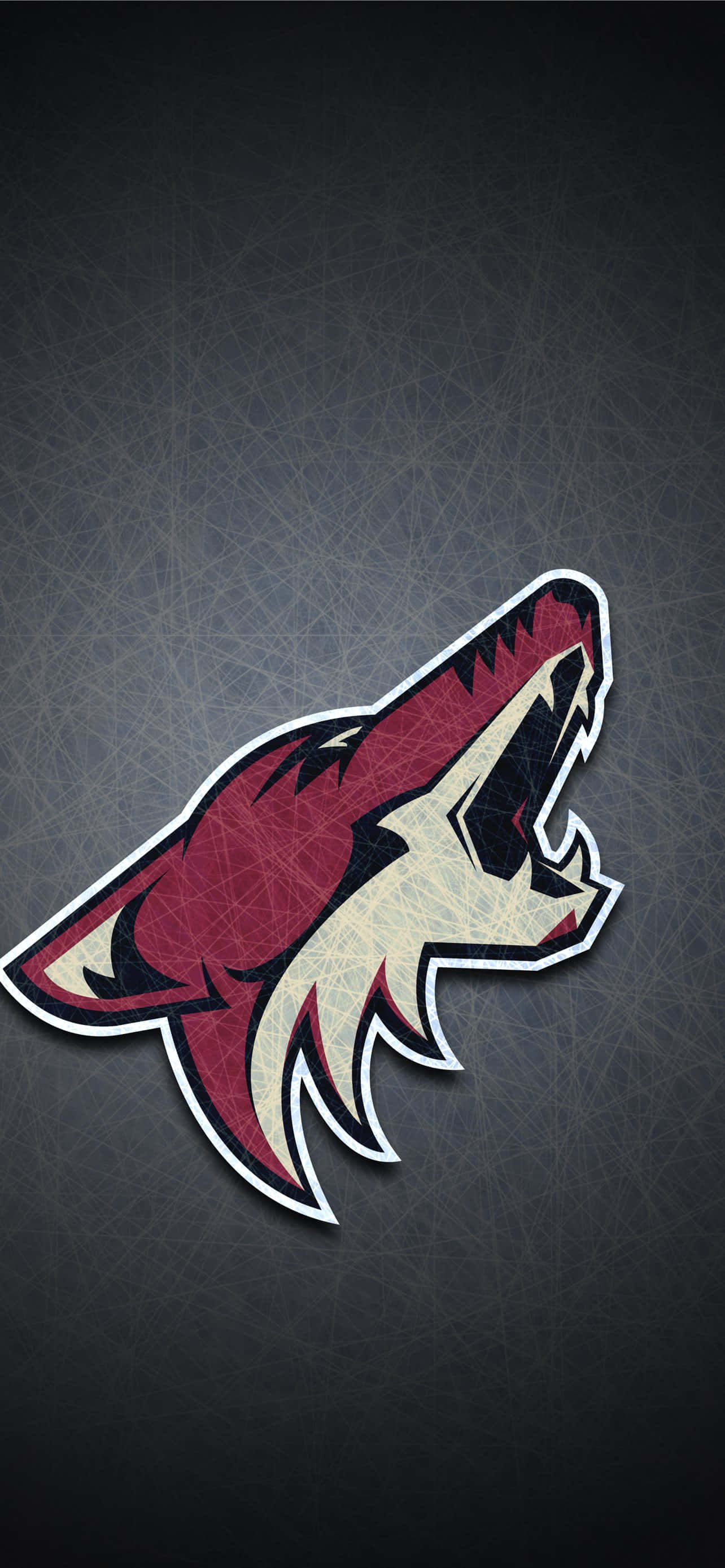 wallpaper ya logo ya arizona coyotes Picha ya Ukuta