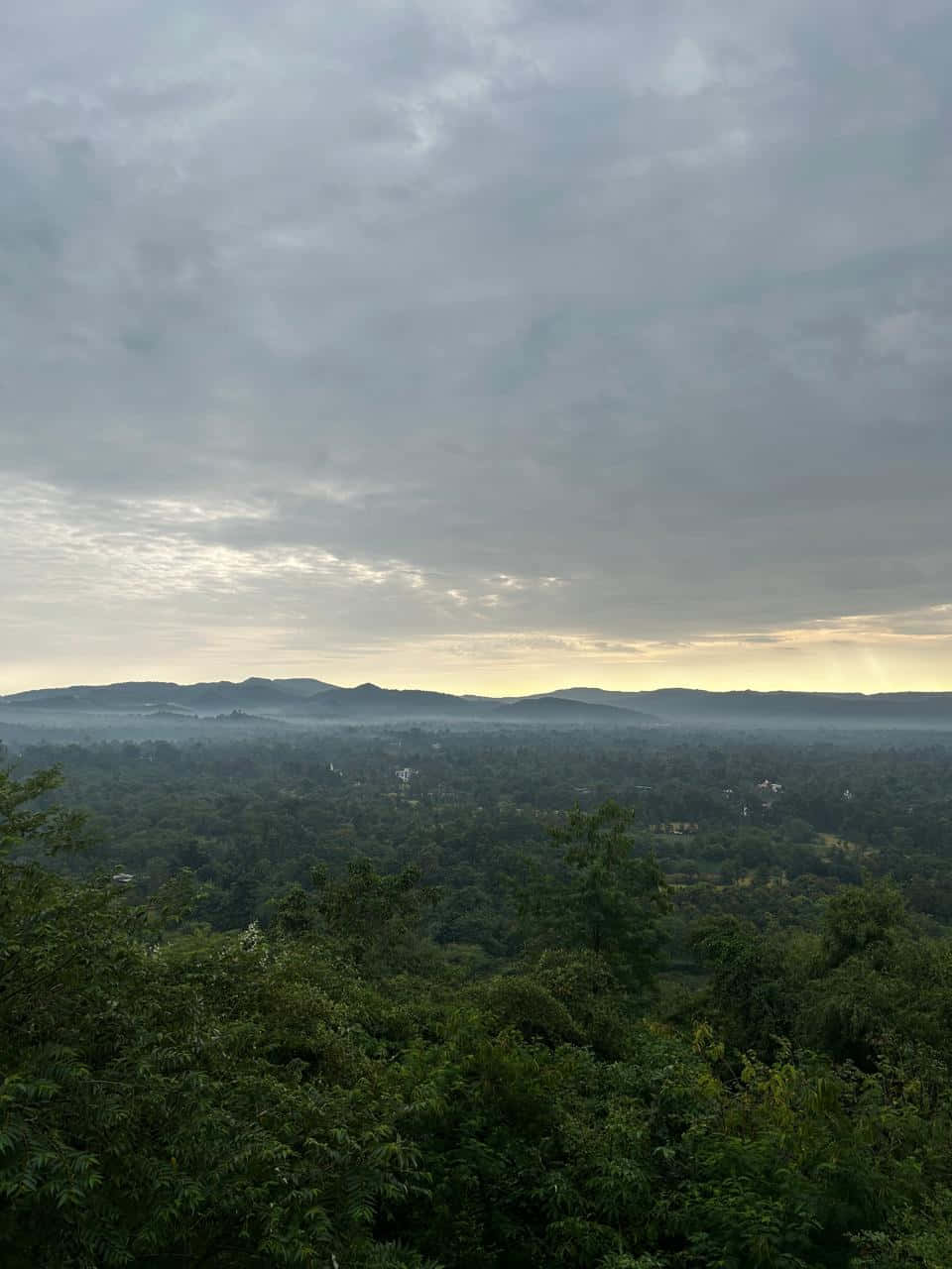 Asubuhi katika Shrimad Rajchandra Ashram Picha ya Ukuta