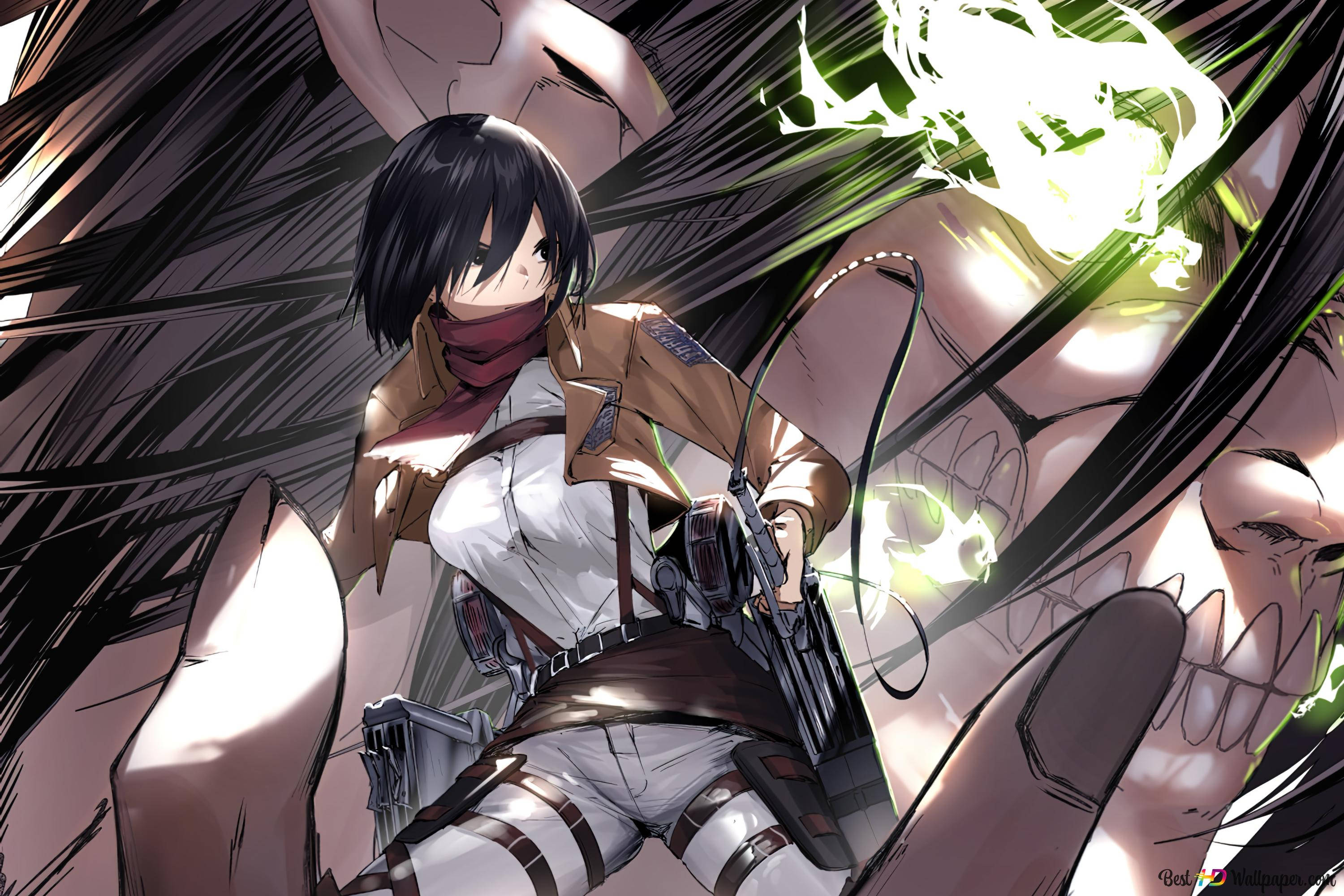 Attack On Titan Titan Eren Akimba Mikasa Picha ya Ukuta