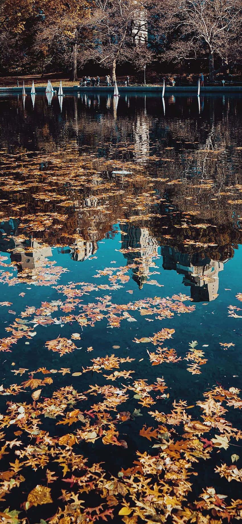 autumn leaves reflected in a lake Picha ya Ukuta