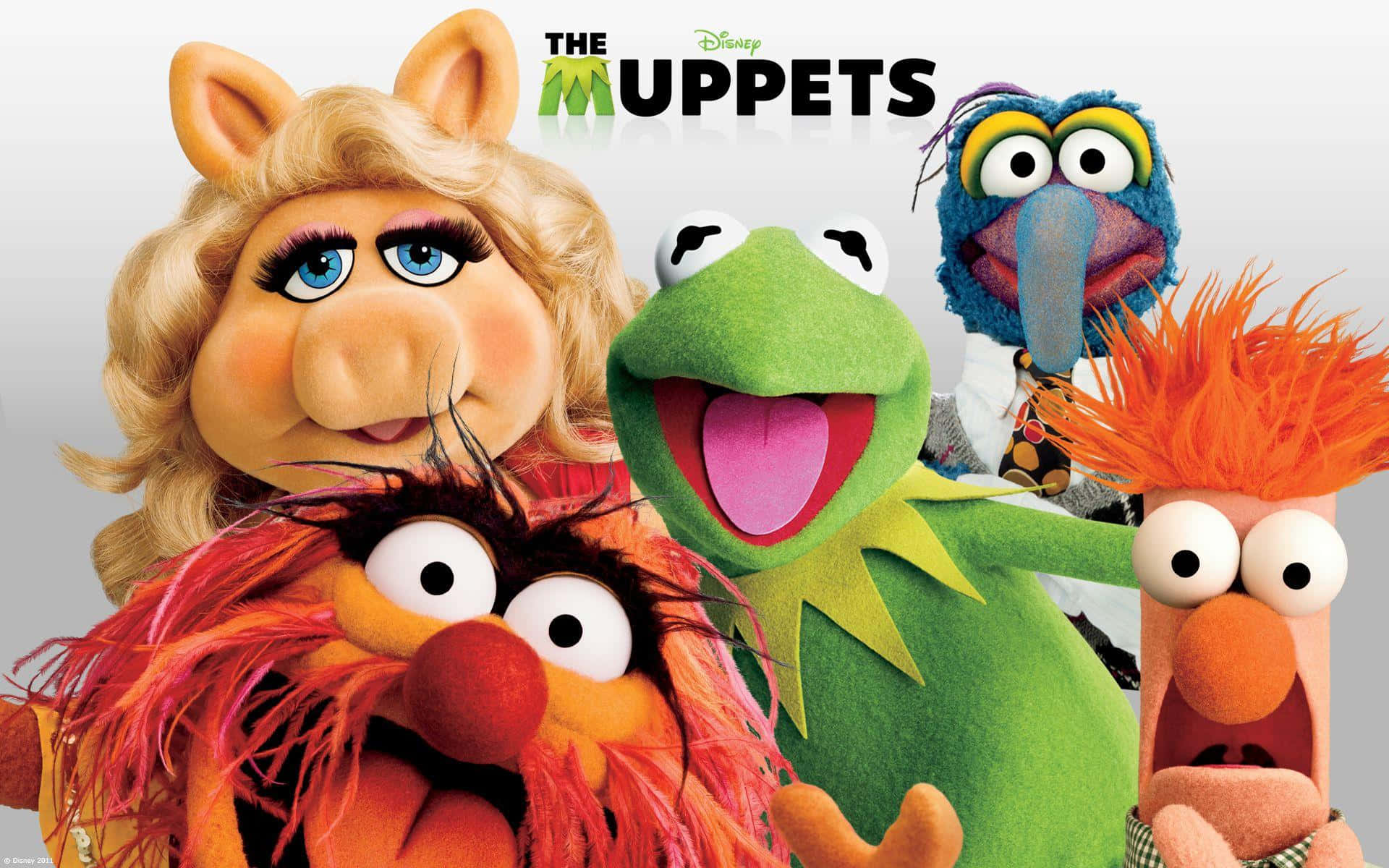 bango la filamu ya muppets Picha ya Ukuta
