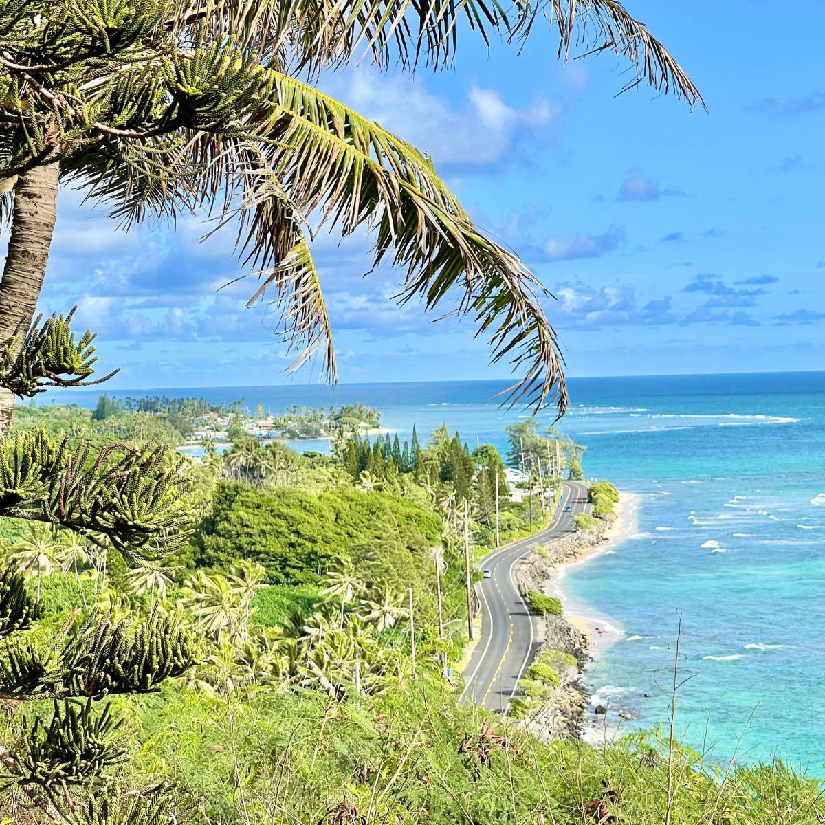 Barabara ya Oahu Kando ya Bahari Picha ya Ukuta