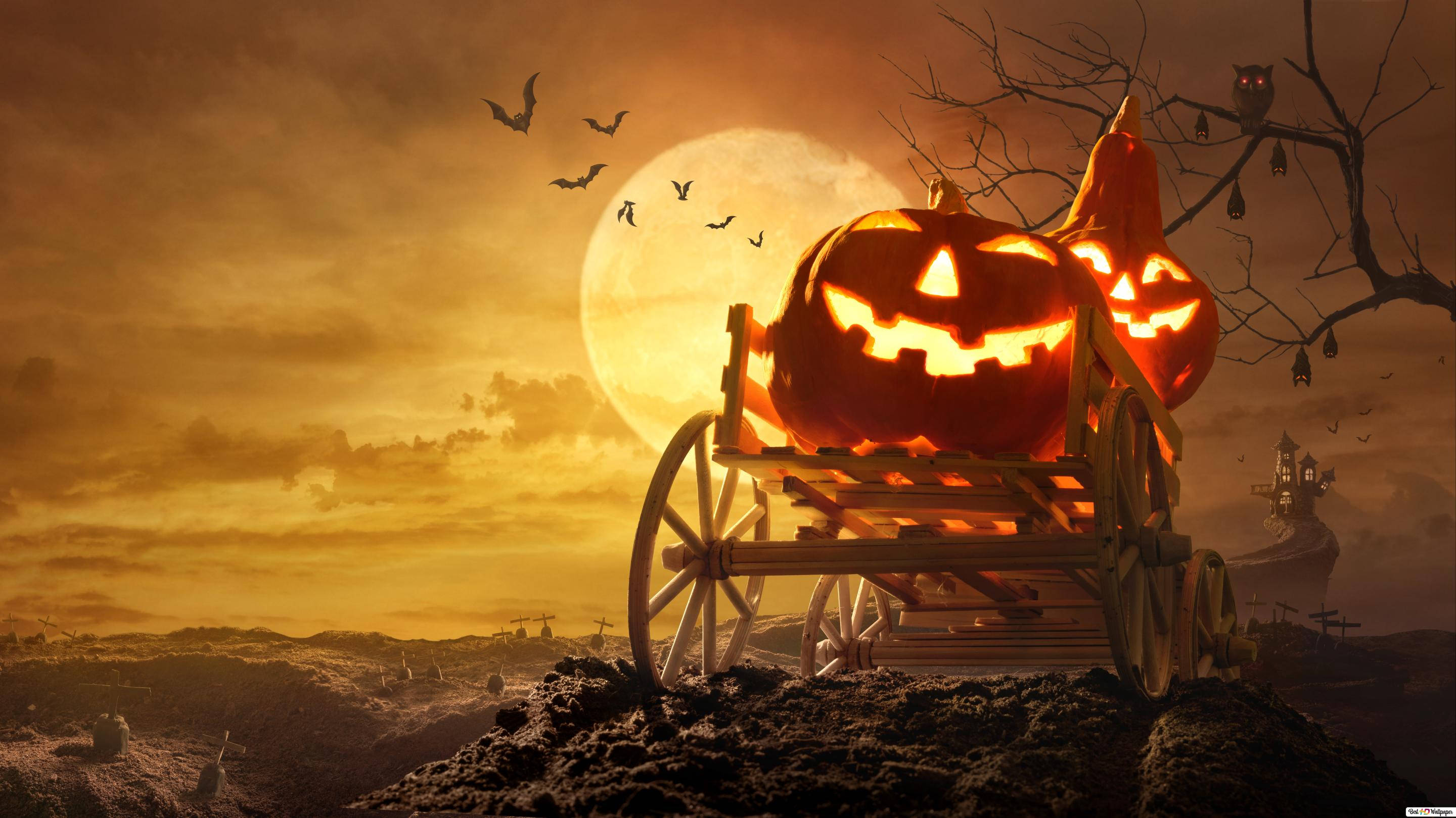 Bata Karibu na Mwezi Kamili wa Pamba kwa iPhone ya Halloween Picha ya Ukuta