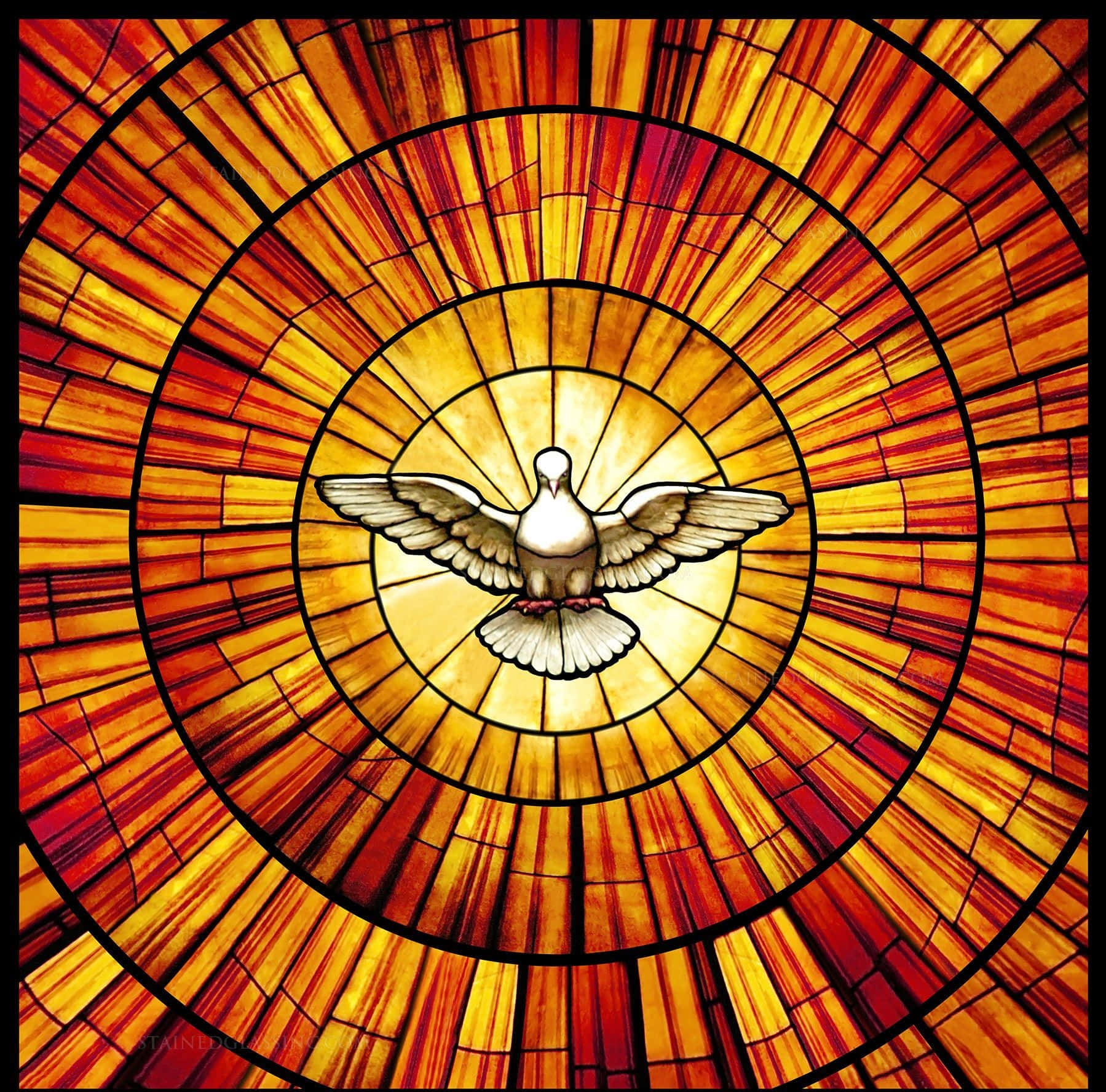 Beautiful Stained Glass Window Picha ya Ukuta