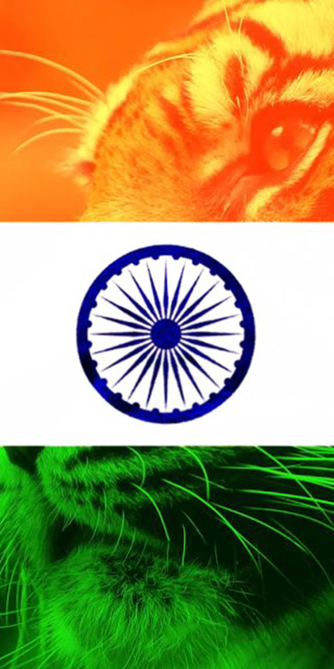 Bendera ya India Simu na Tiger Picha ya Ukuta