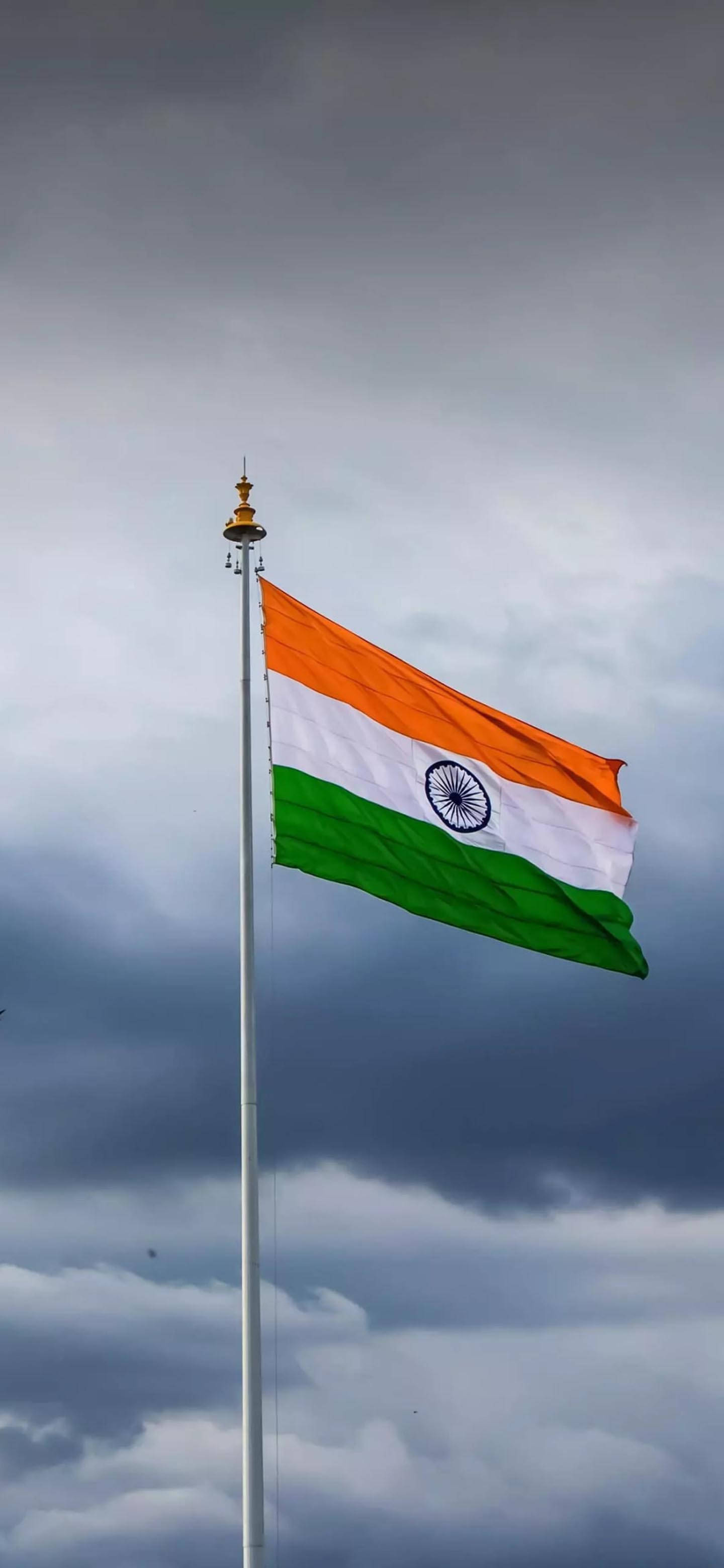 Bendera ya India ya Kuvutia kwa Simu Picha ya Ukuta