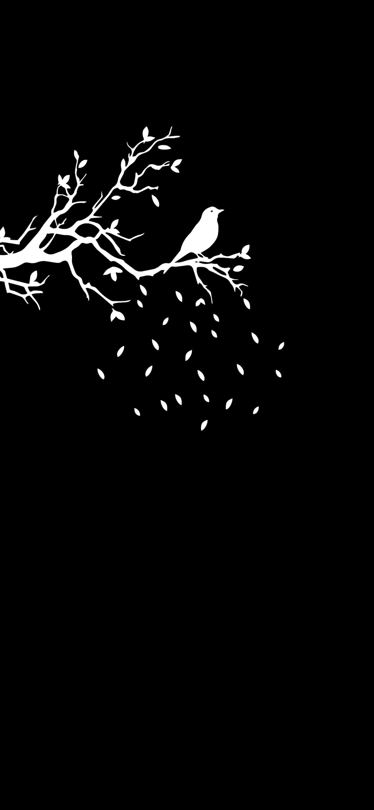 Bird On Tree Pixel 3 OLED Background Picha ya Ukuta