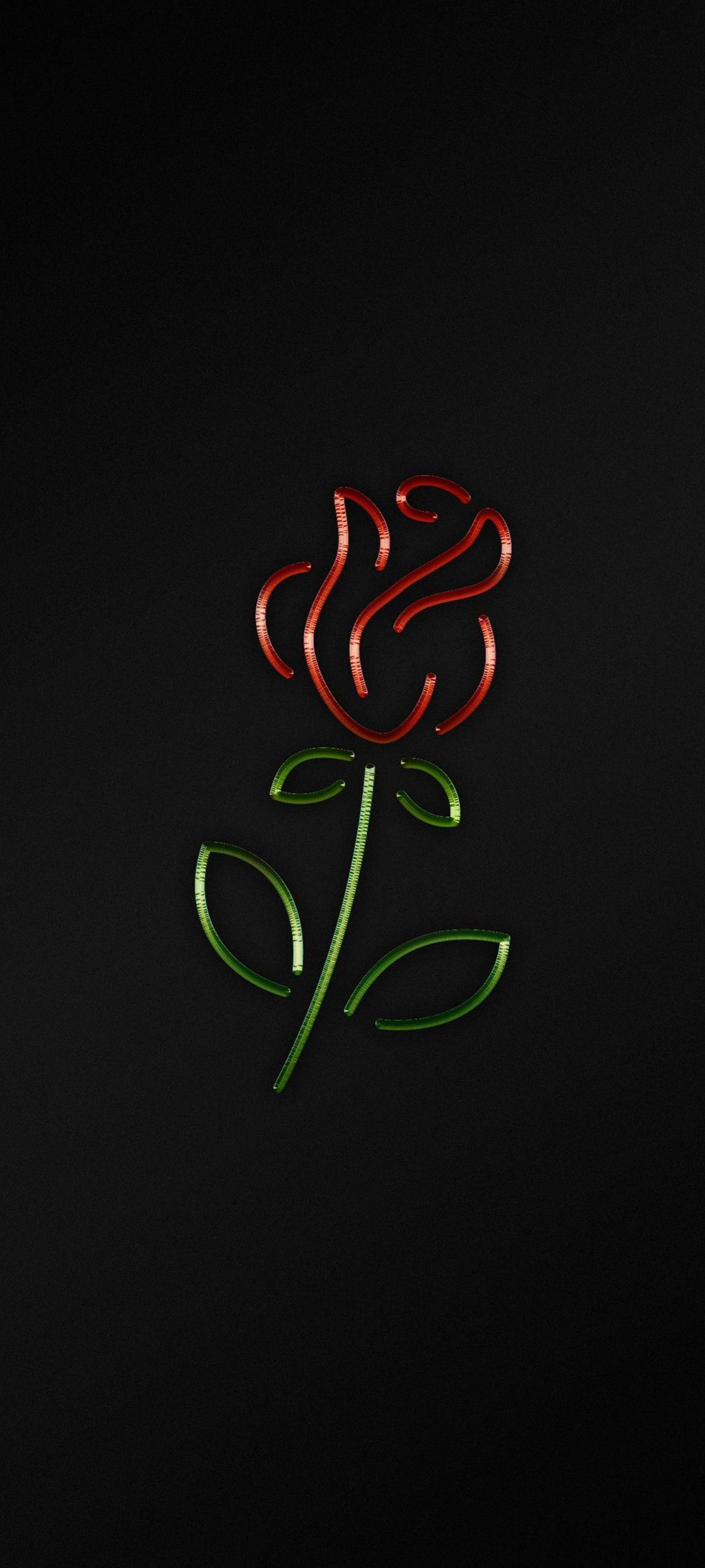 Black iPhone Rose Picha ya Ukuta