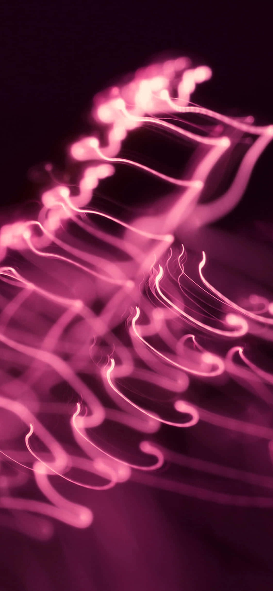 Blooming romantic heart of dark pink Picha ya Ukuta