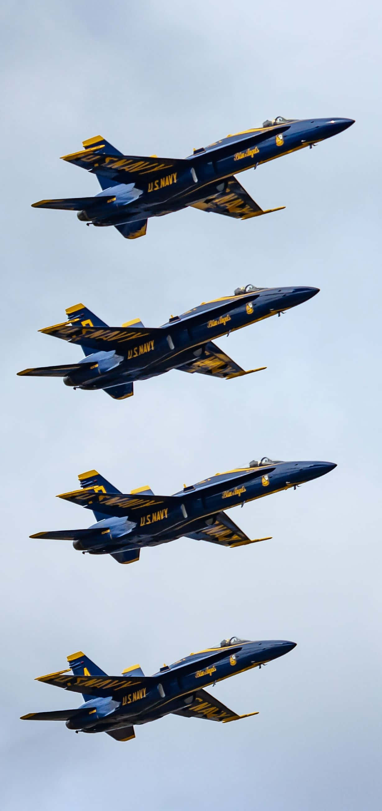 Majestic Blue Angels in Flight Picha ya Ukuta