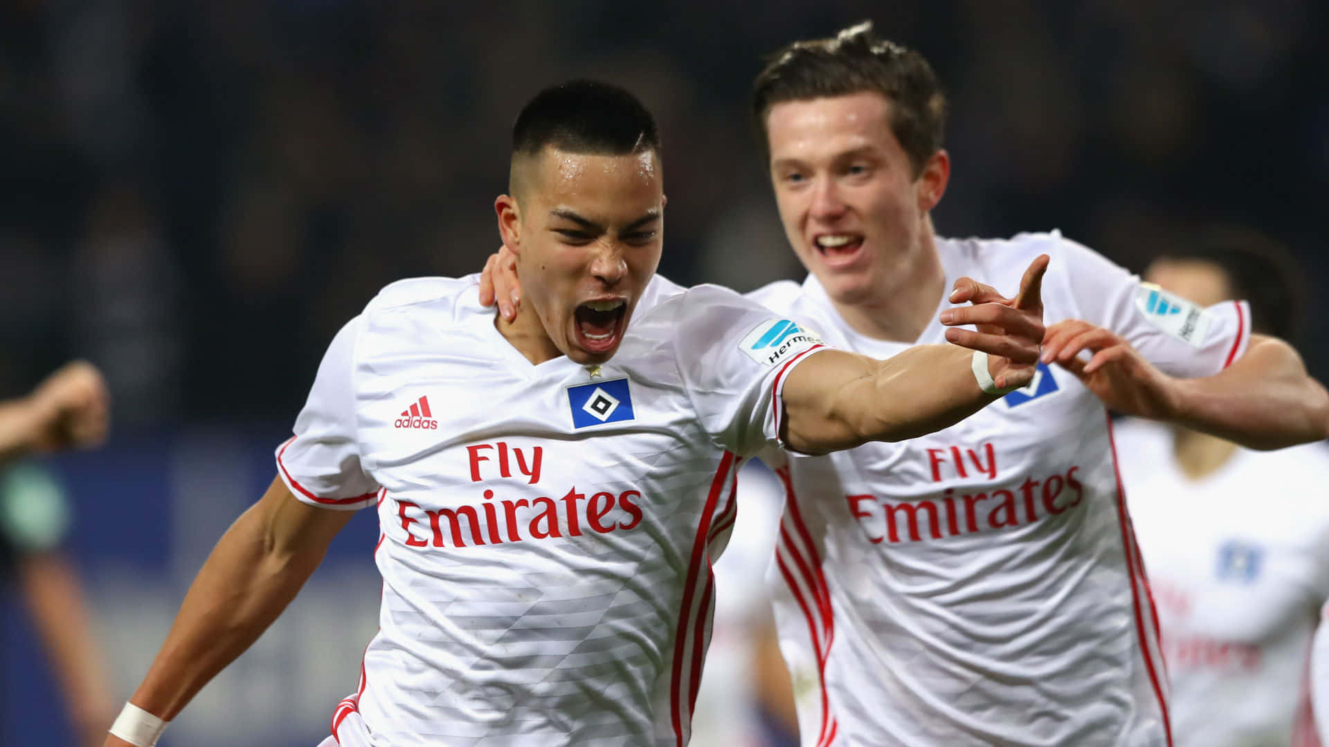 Bobby Wood na Michael Gregoritsch Wakati wa Mechi ya Bundesliga Picha ya Ukuta