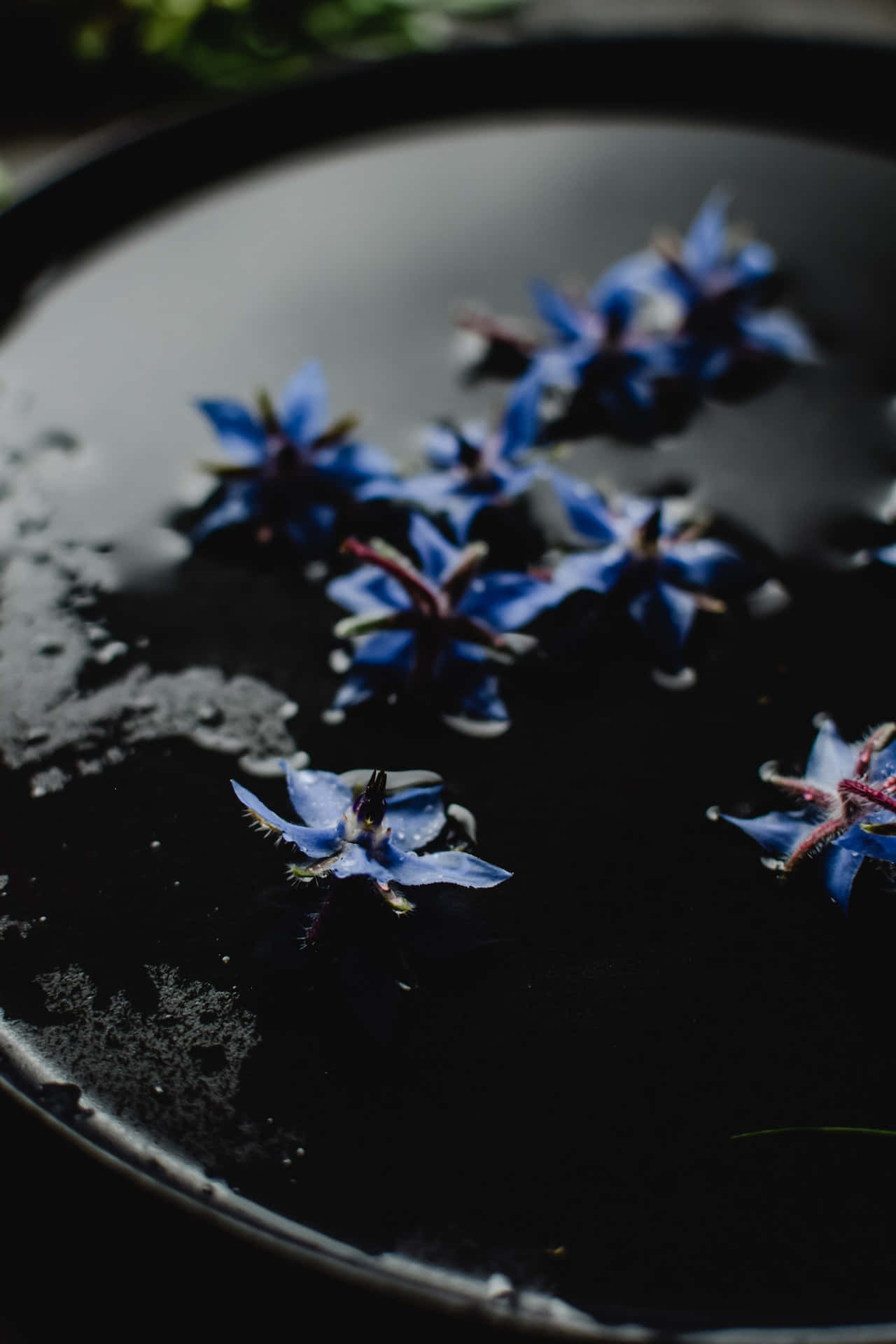 Borage Blue Flowers Phone Picha ya Ukuta