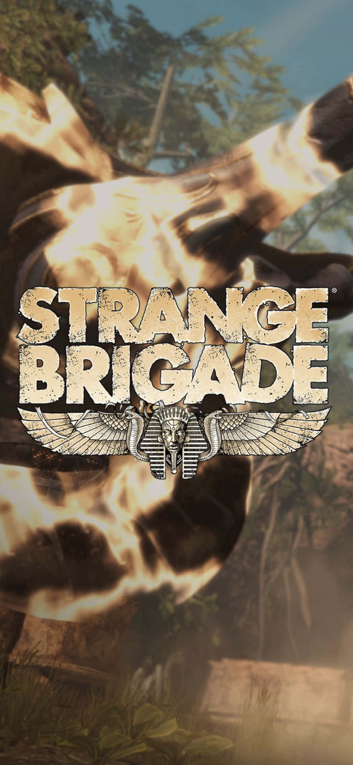 Bottle With Fire Weapon iPhone X Strange Brigade Background Picha ya Ukuta