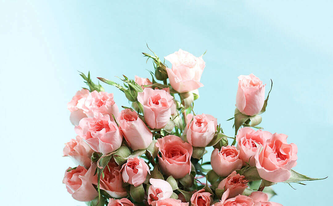 Bouquet la Maua katika Aesthetic ya Pink Pastel Picha ya Ukuta