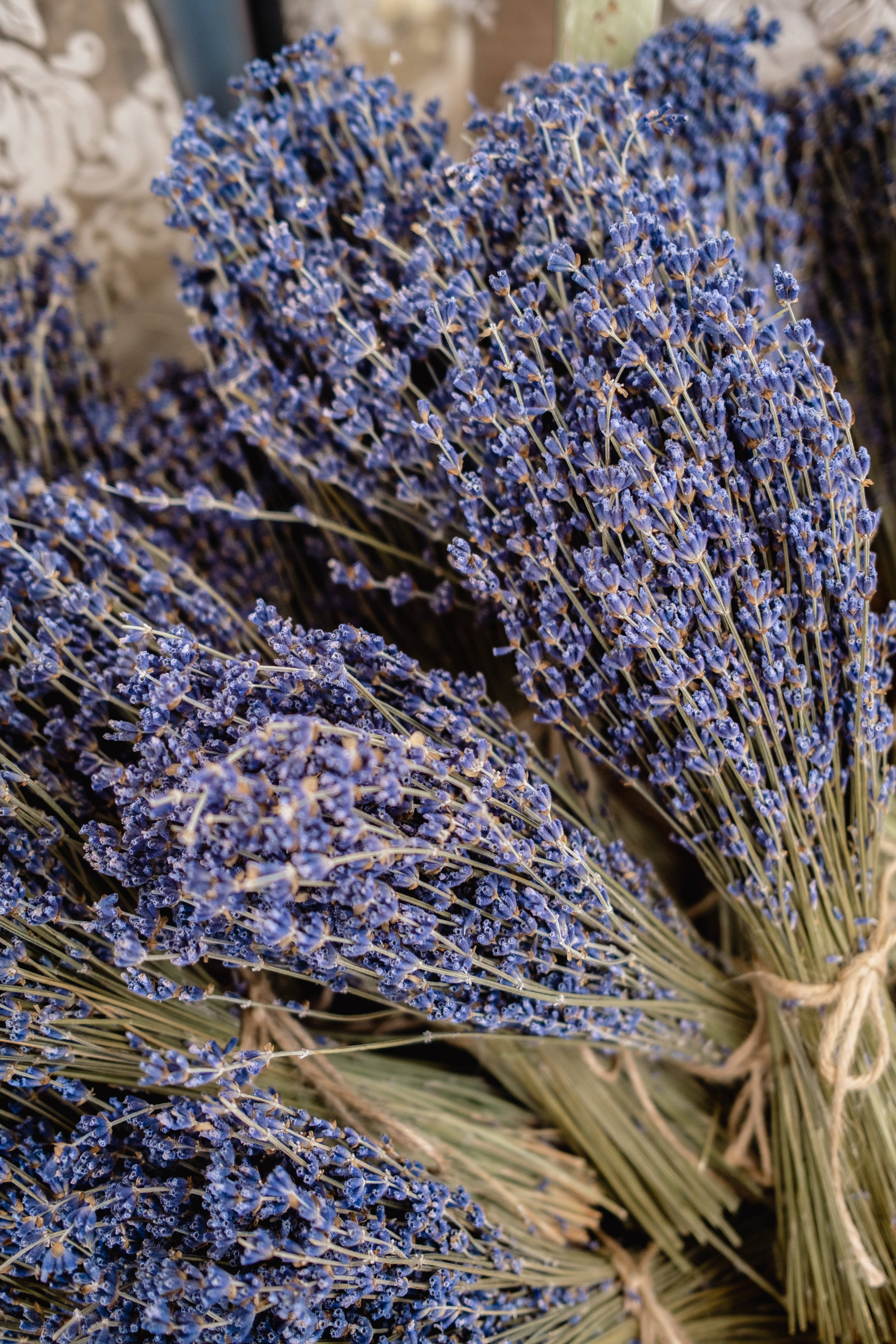 Bouquet ya Lavender ya Aesthetic Picha ya Ukuta