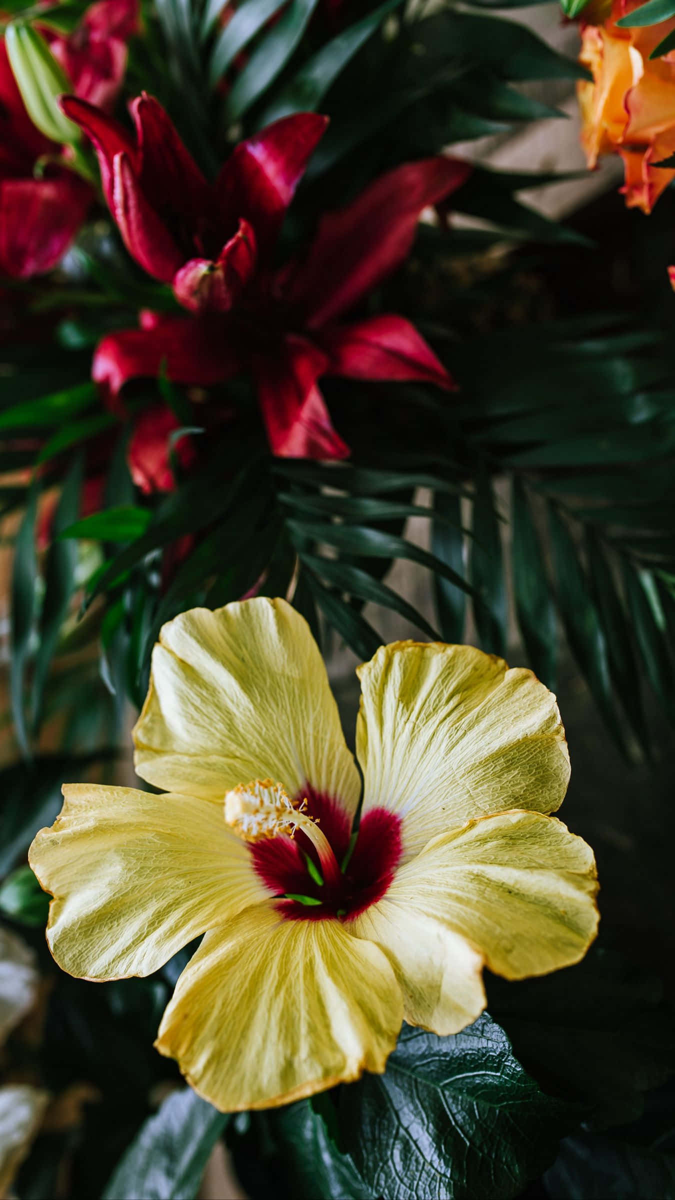 Bouquet ya Maua ya Hibiski ya Njano Picha ya Ukuta
