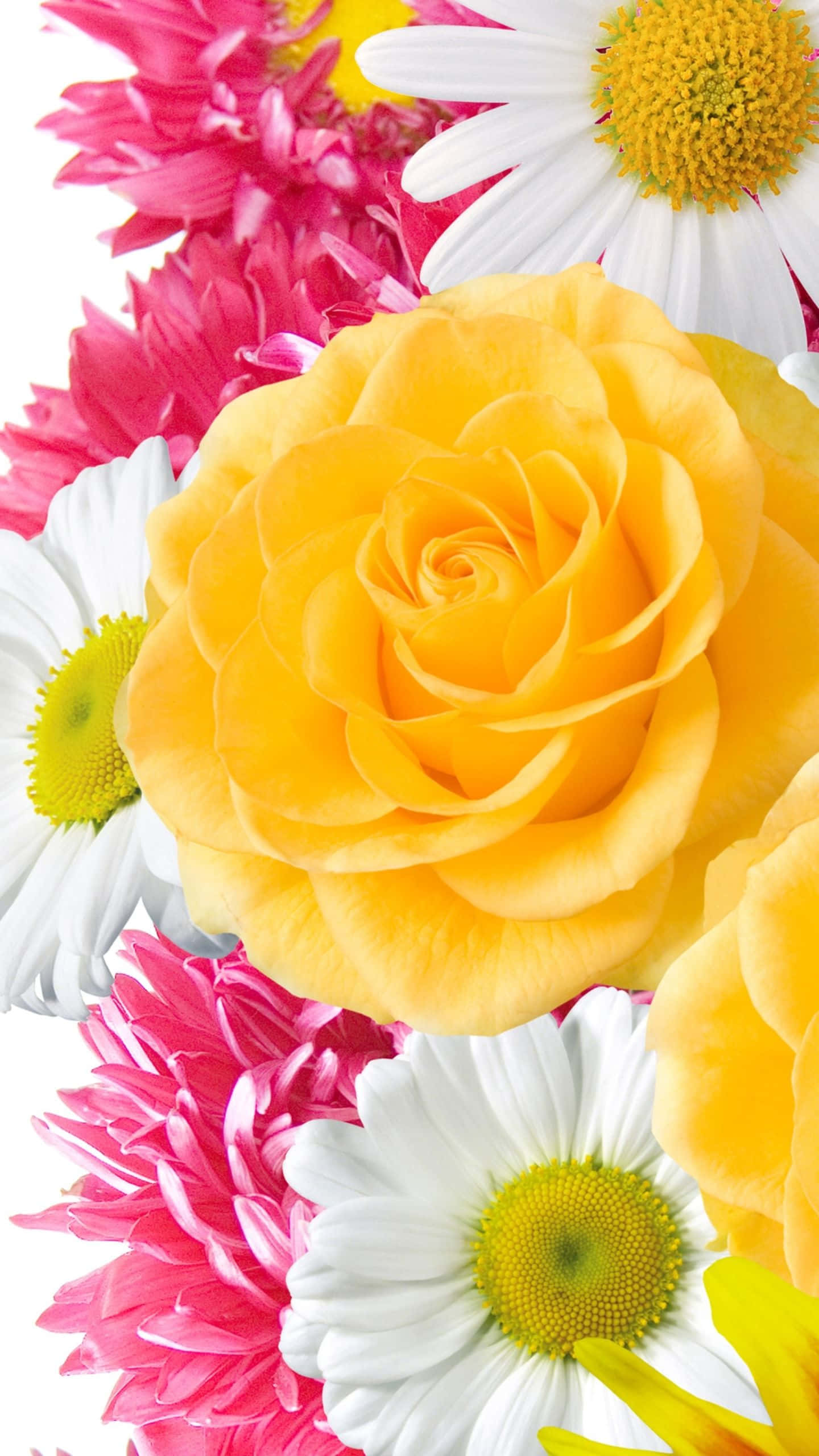 Bouquet ya maua Picha ya Ukuta