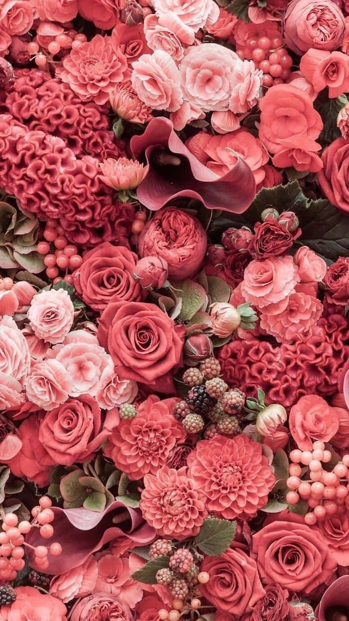 Bouquet ya Mwani wa Pinki Mwani Mwani Picha ya Ukuta